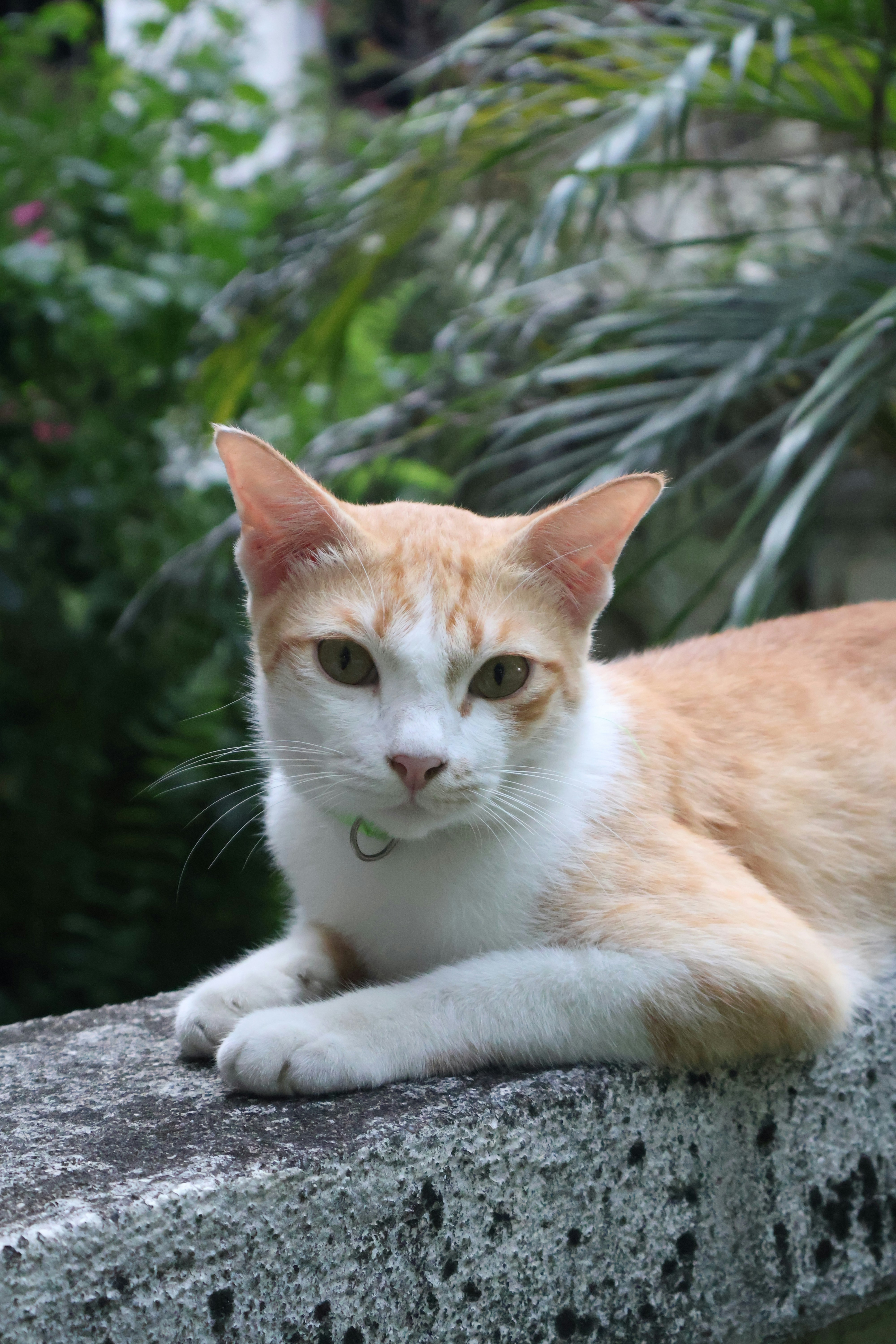 Photo by bywindahlimbai