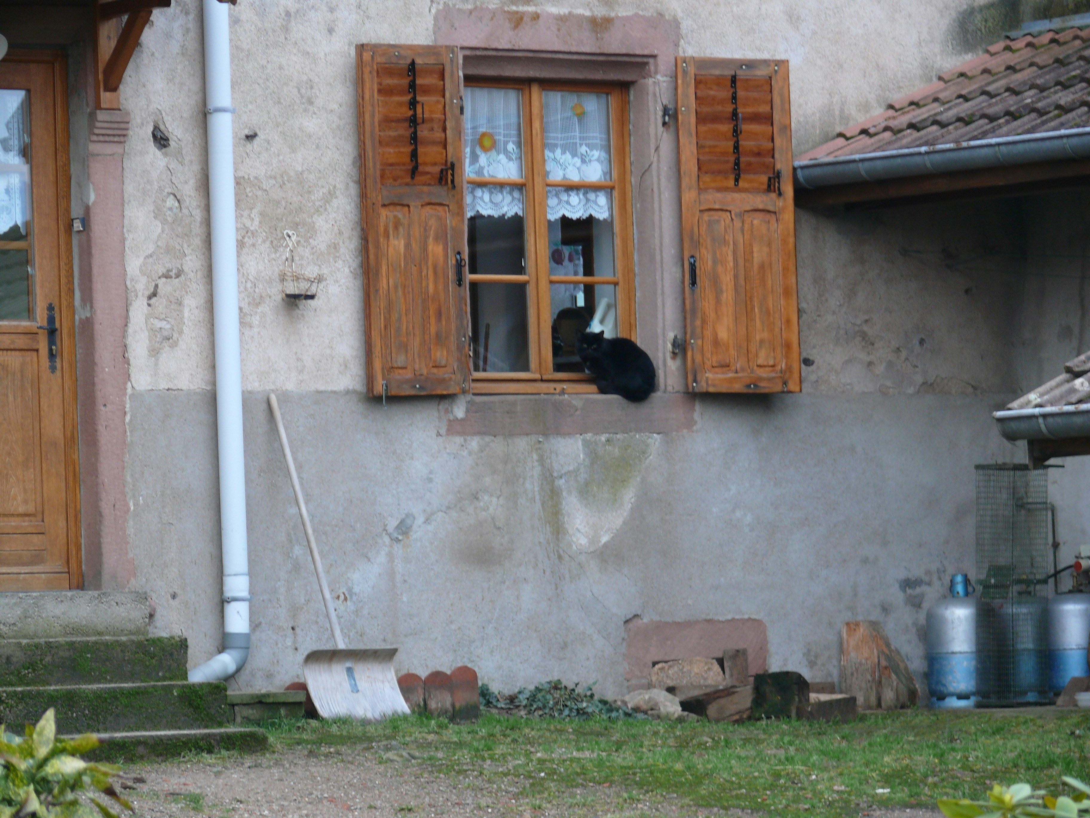 Photo by alex_alexandre