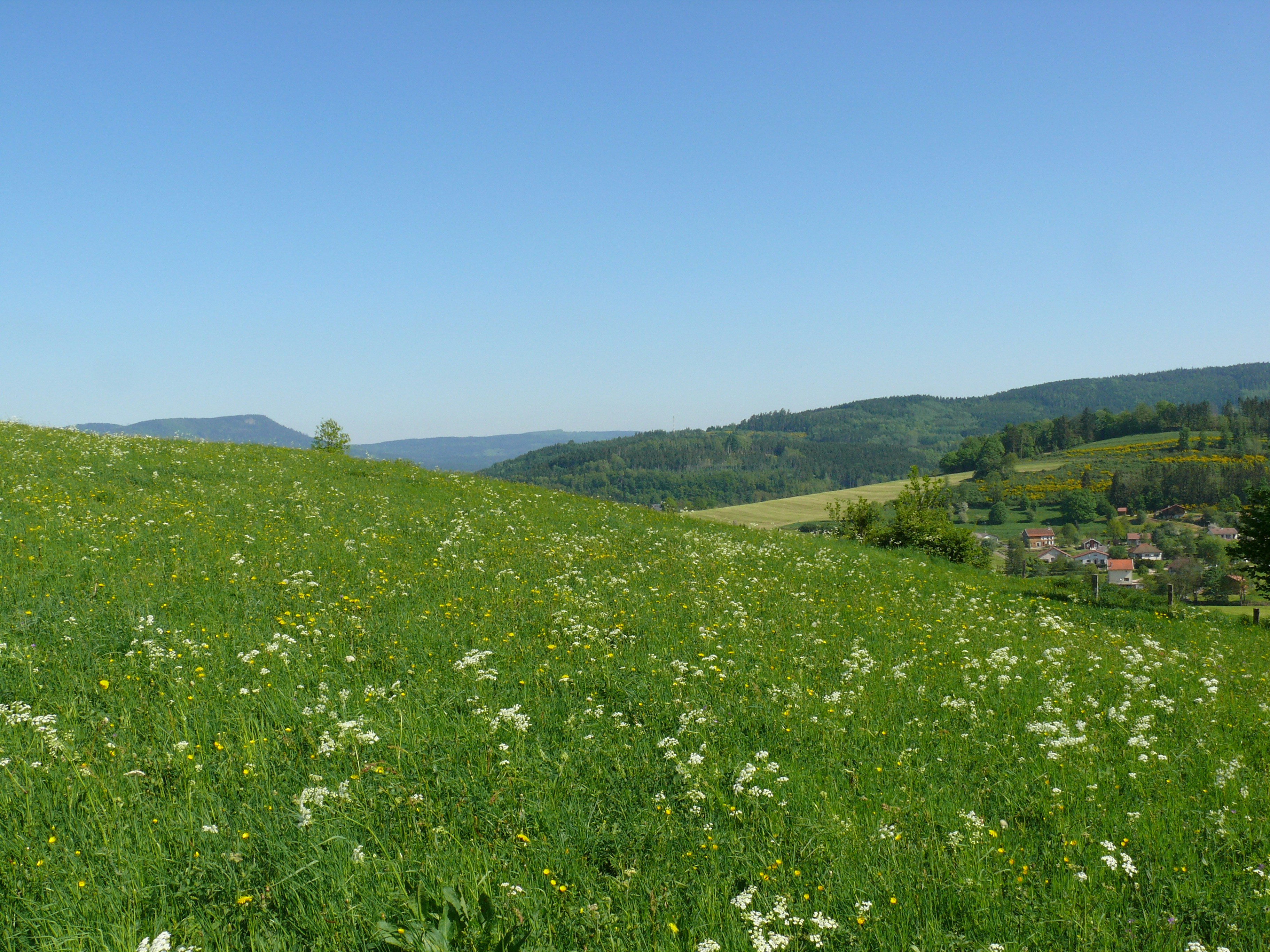 Photo by alex_alexandre