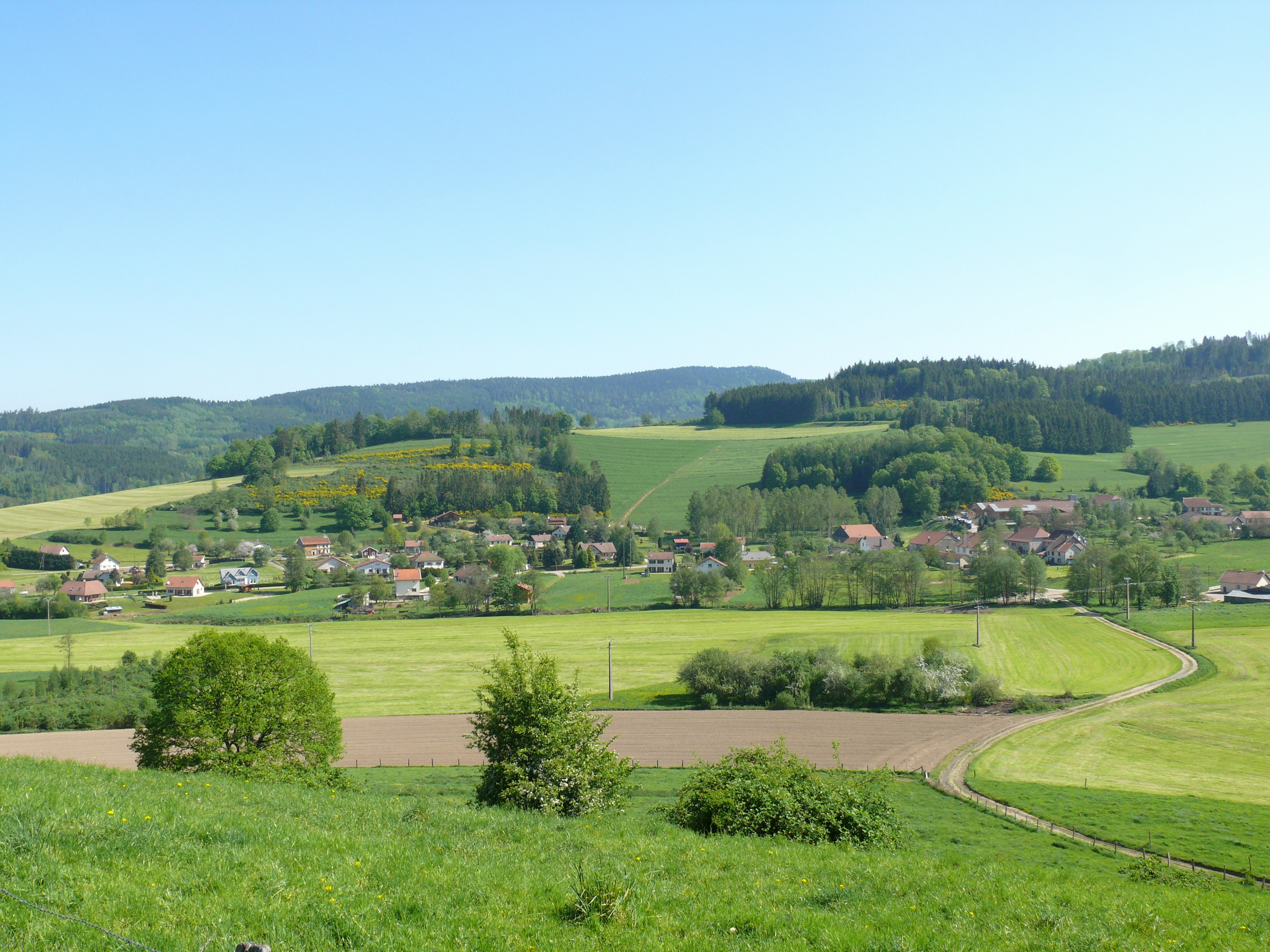 Photo by alex_alexandre