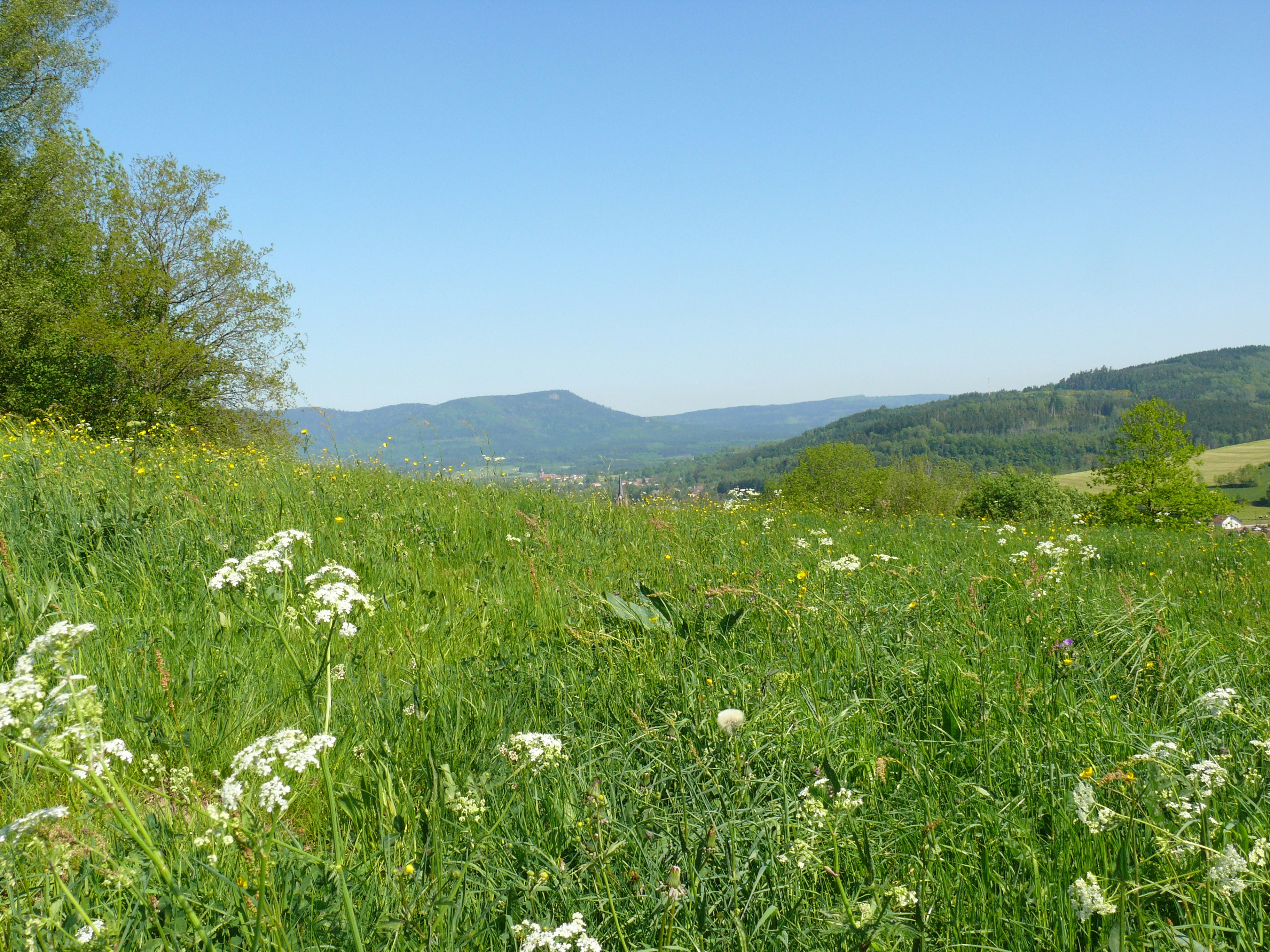 Photo by alex_alexandre