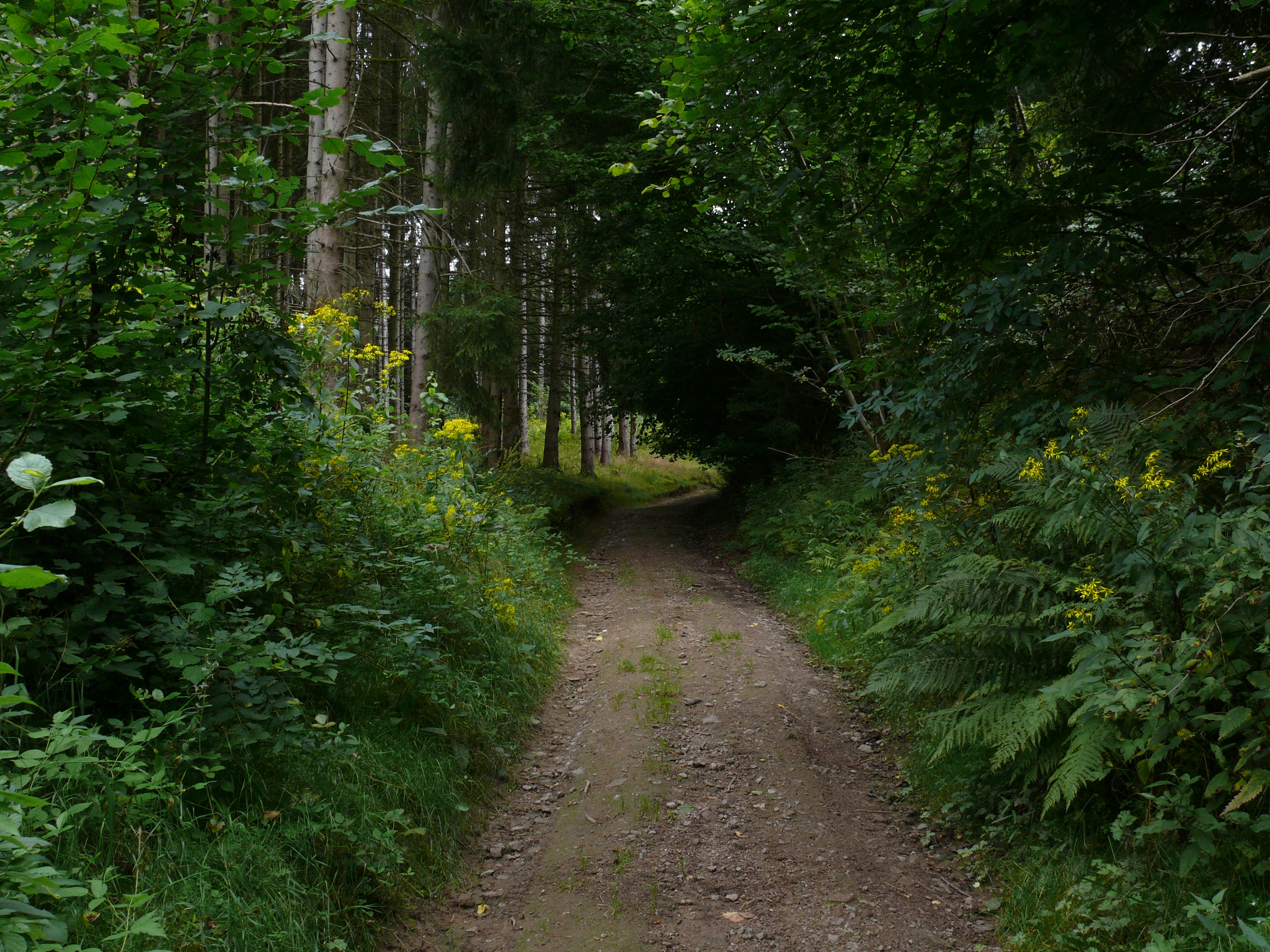 Photo by alex_alexandre