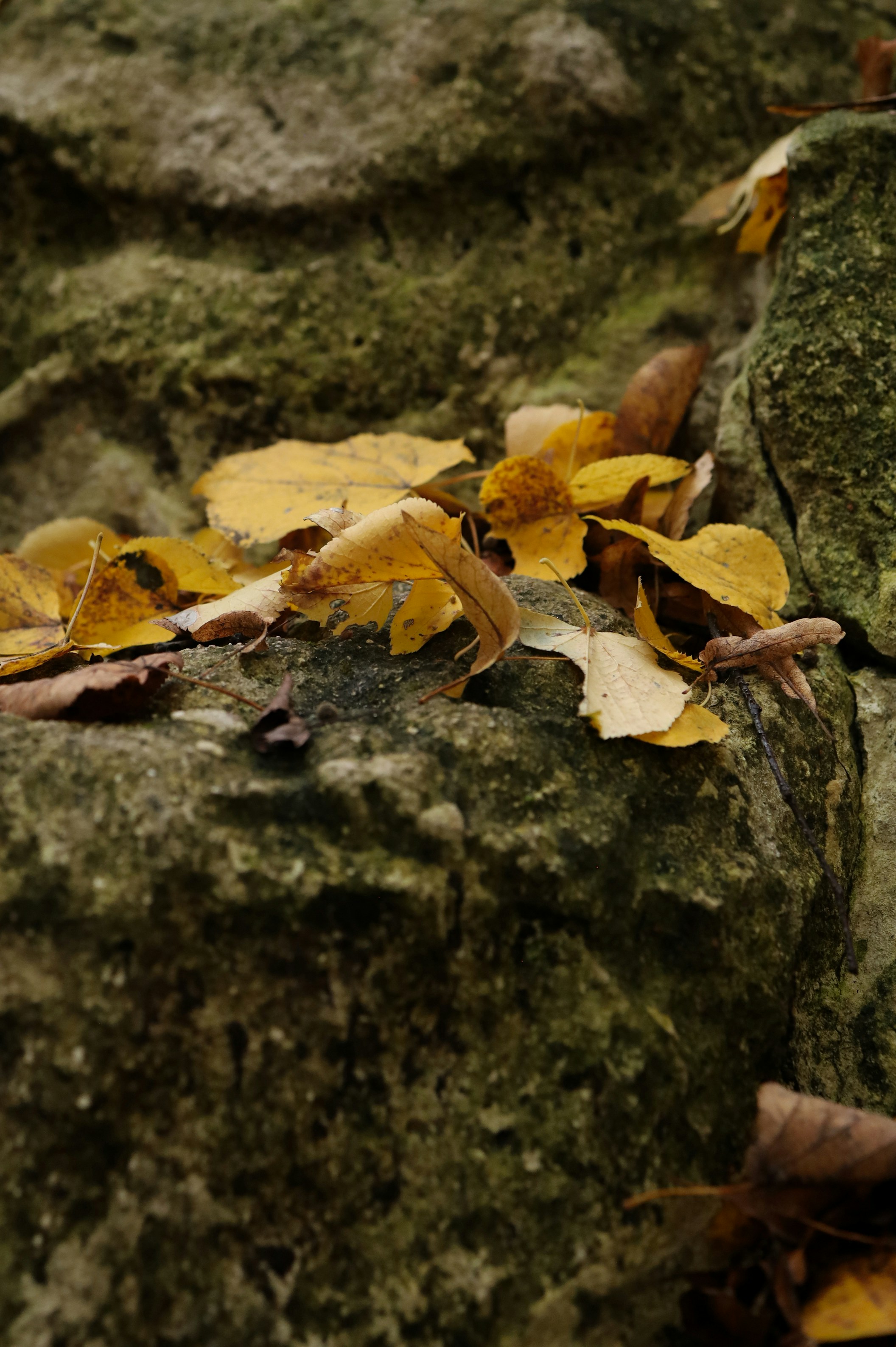 Photo by evgeniya_pron