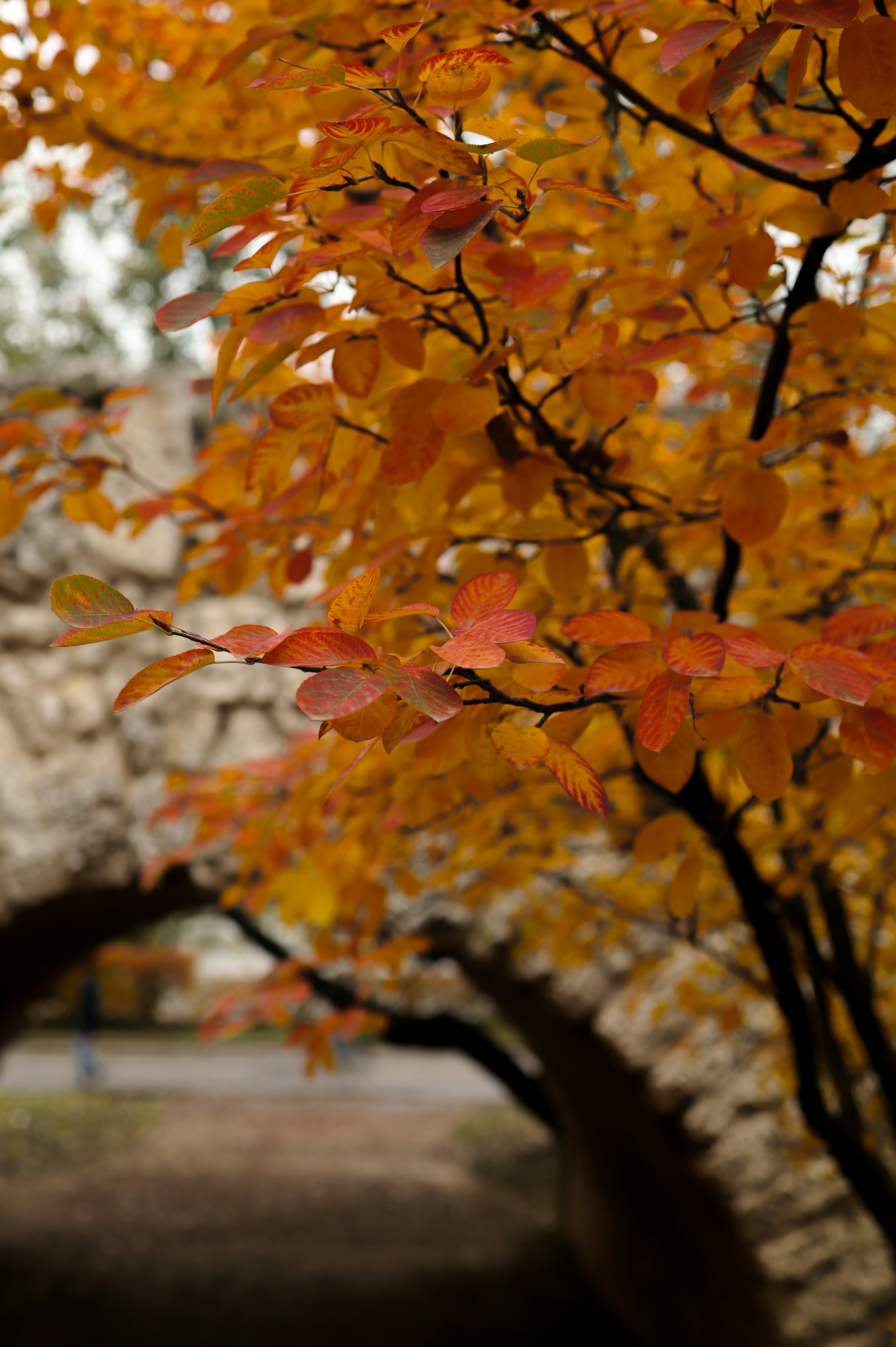 Photo by evgeniya_pron