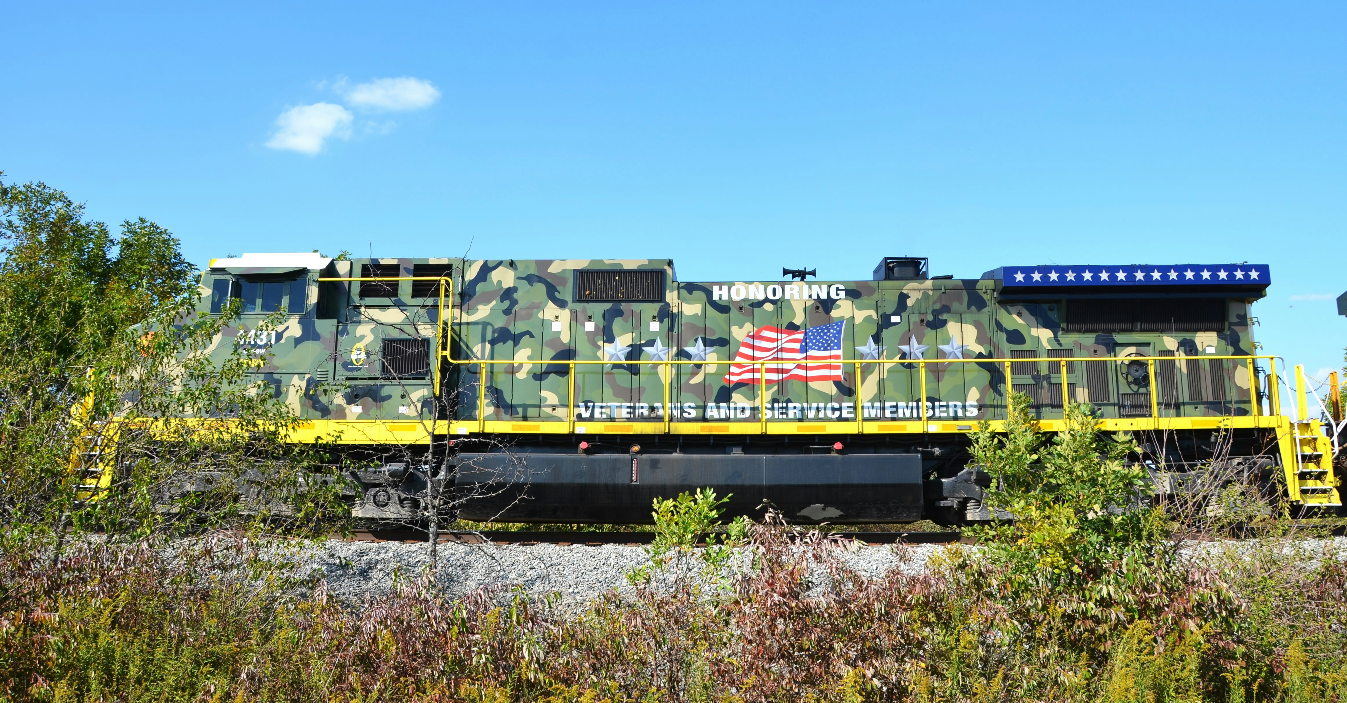 Camouflaged train with american flag design.