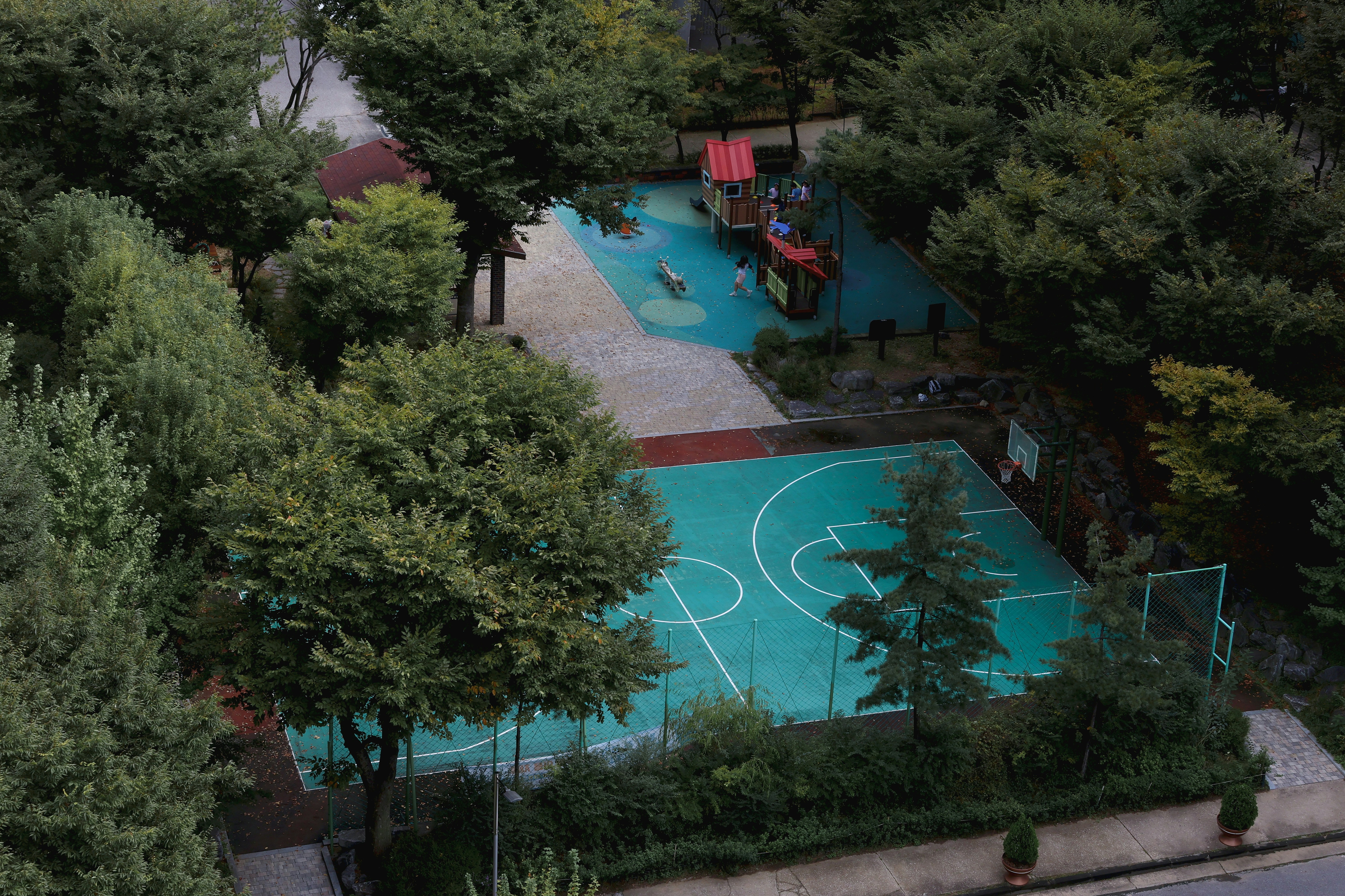 Basketball court surrounded by trees