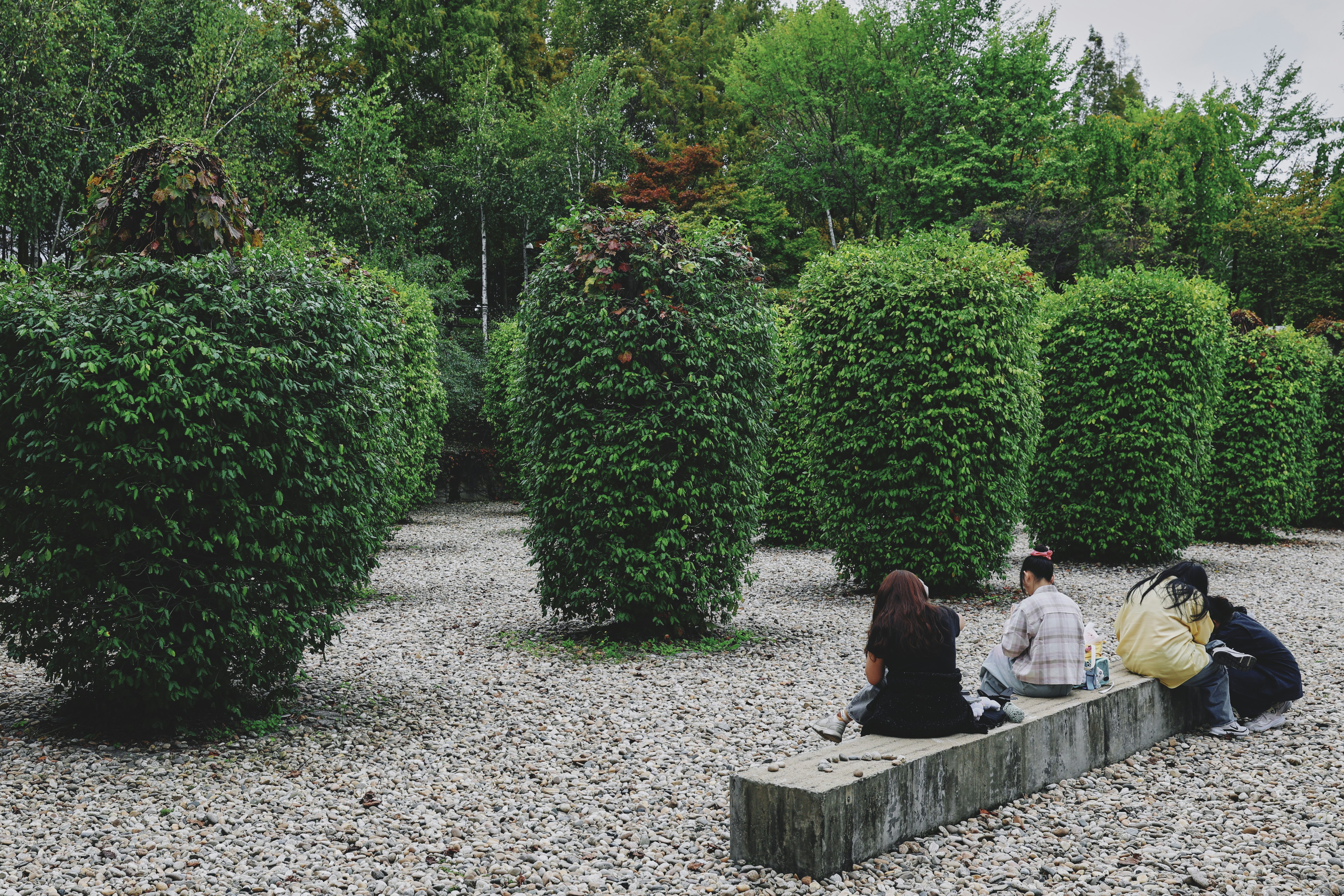 Photo by J. Young Jeong