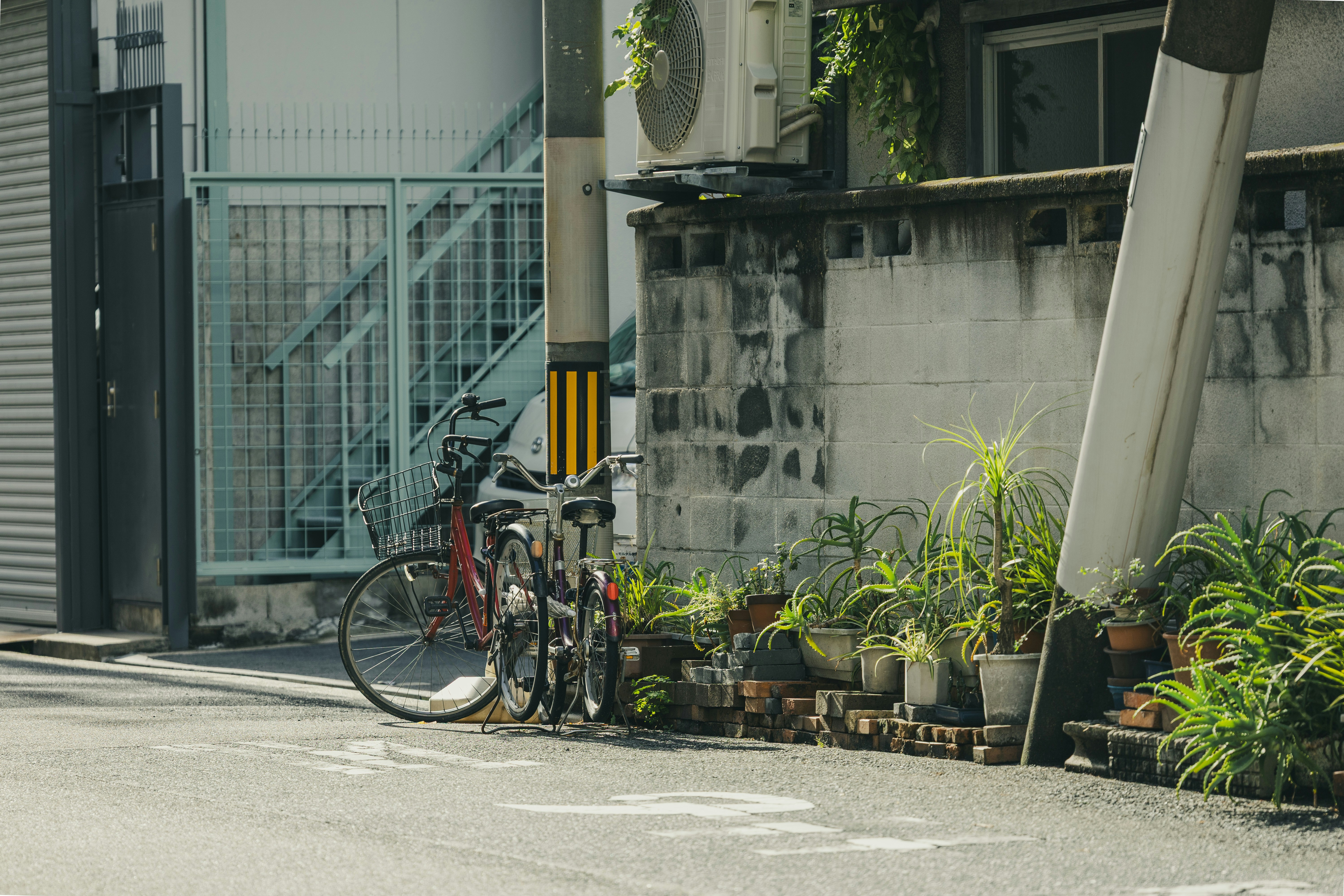 Photo by wenhao_ruan