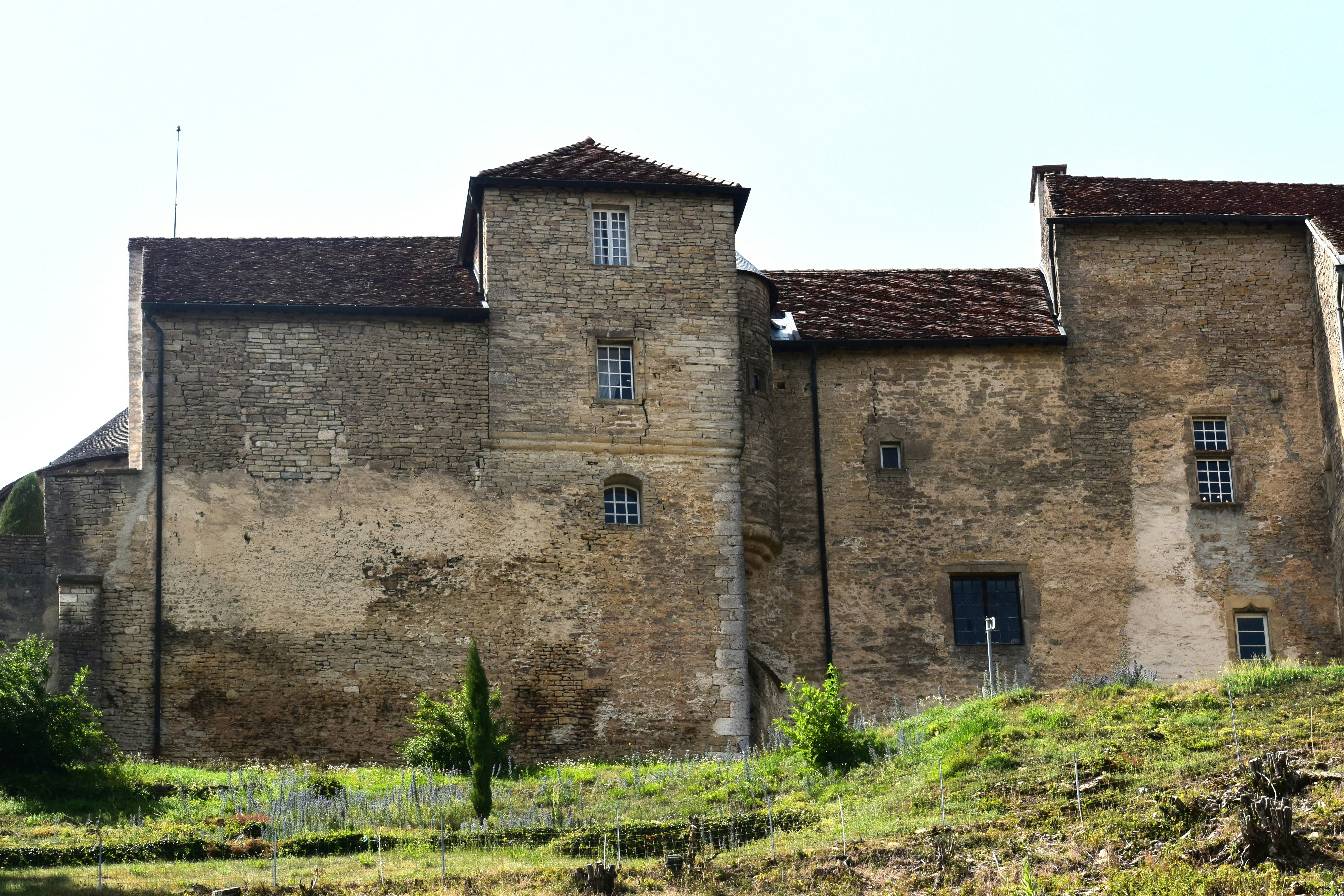 Photo by danielelarosa