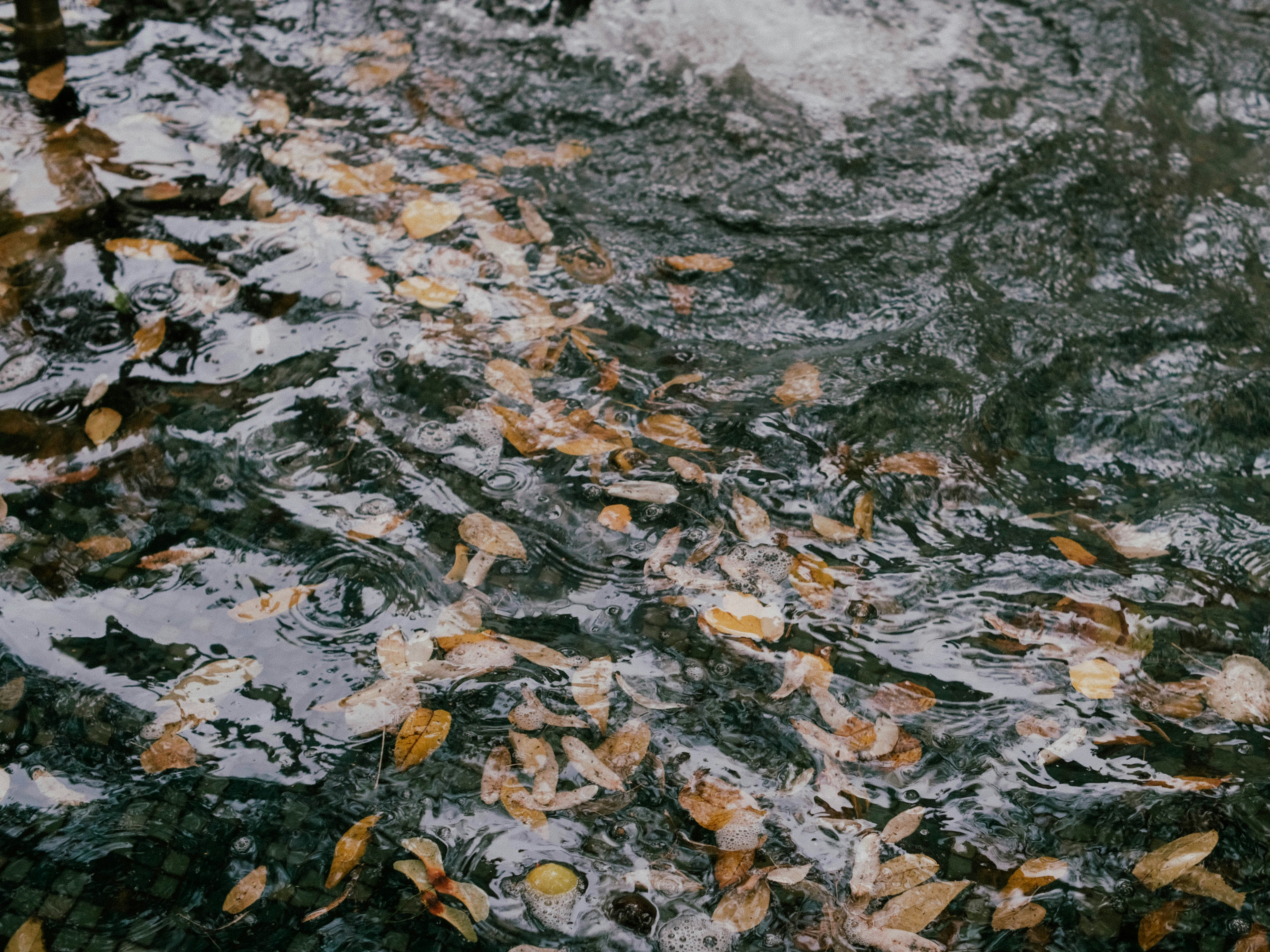 Photo by neverspillthetea