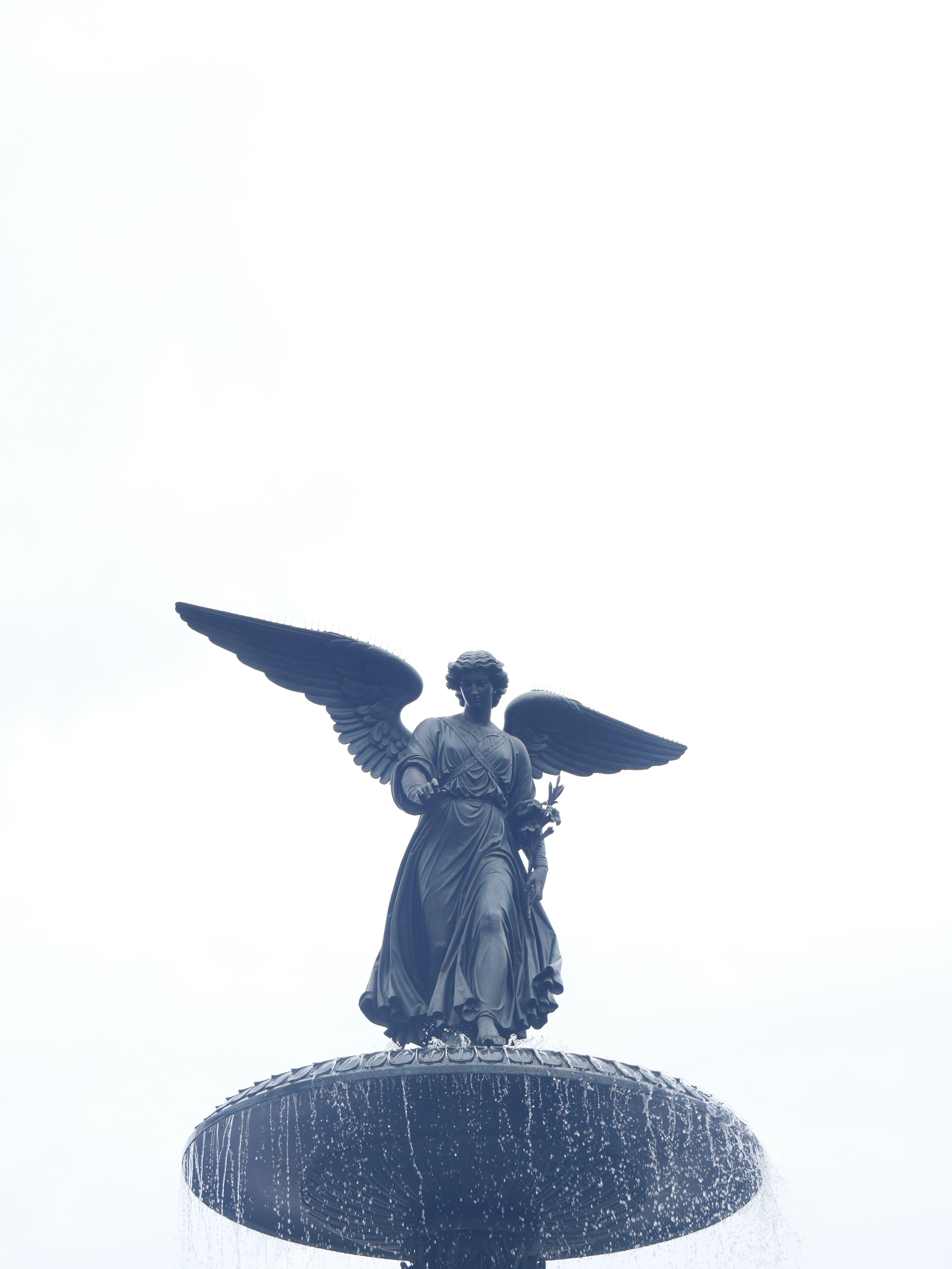 Photo by nimbus_vulpis