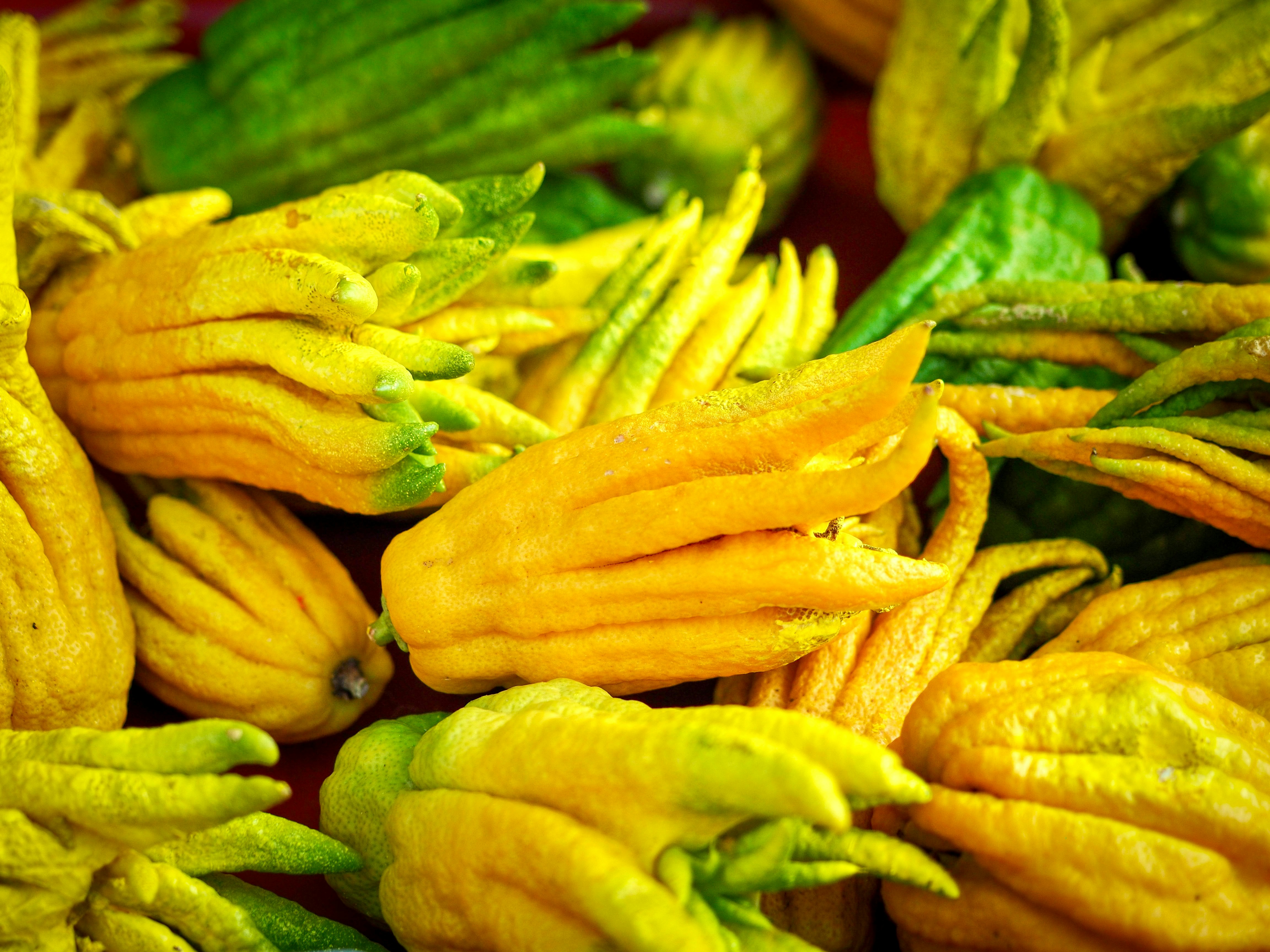 Heap of bright yellow buddha's hand citrus fruits.