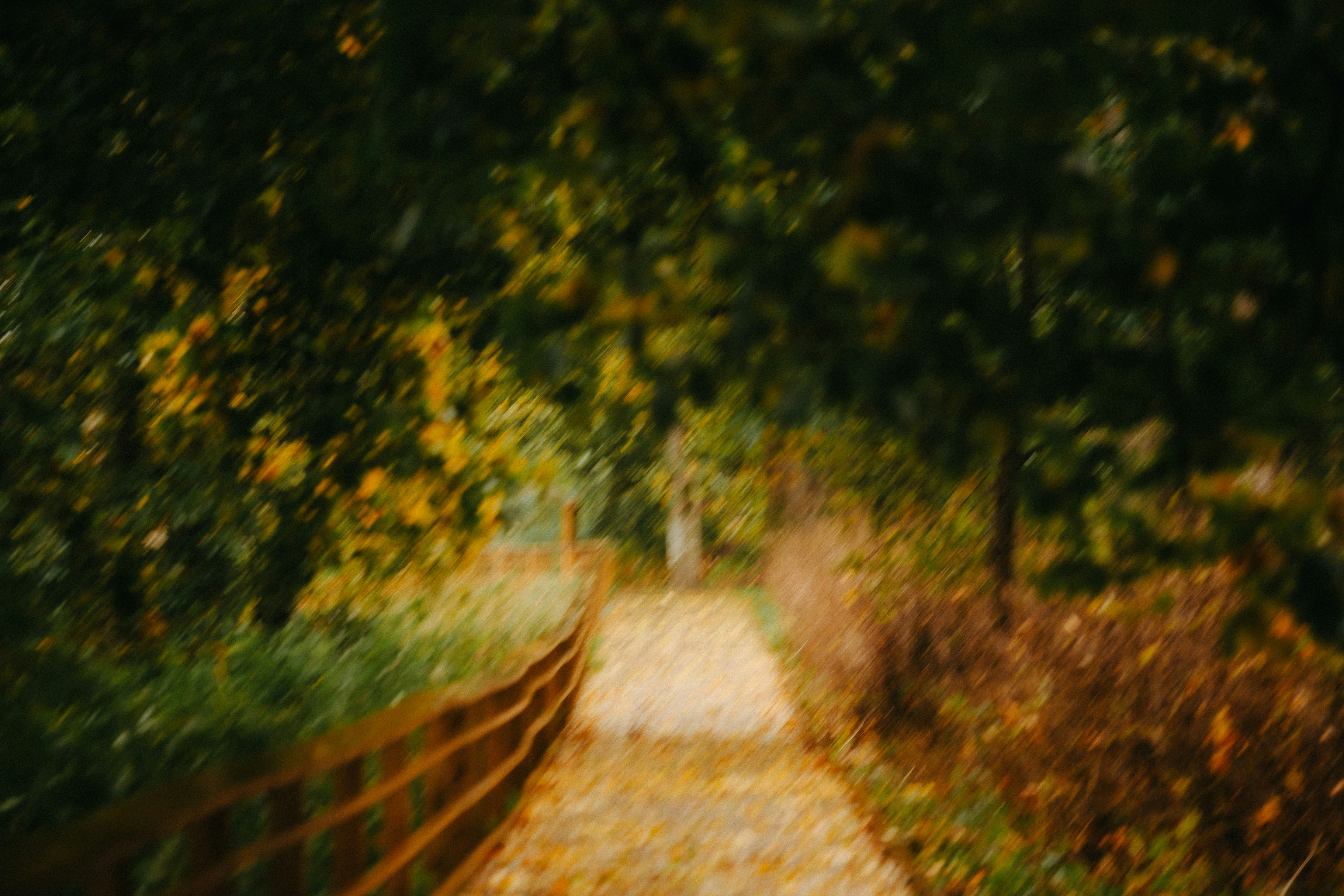 Photo by kristapsungurs