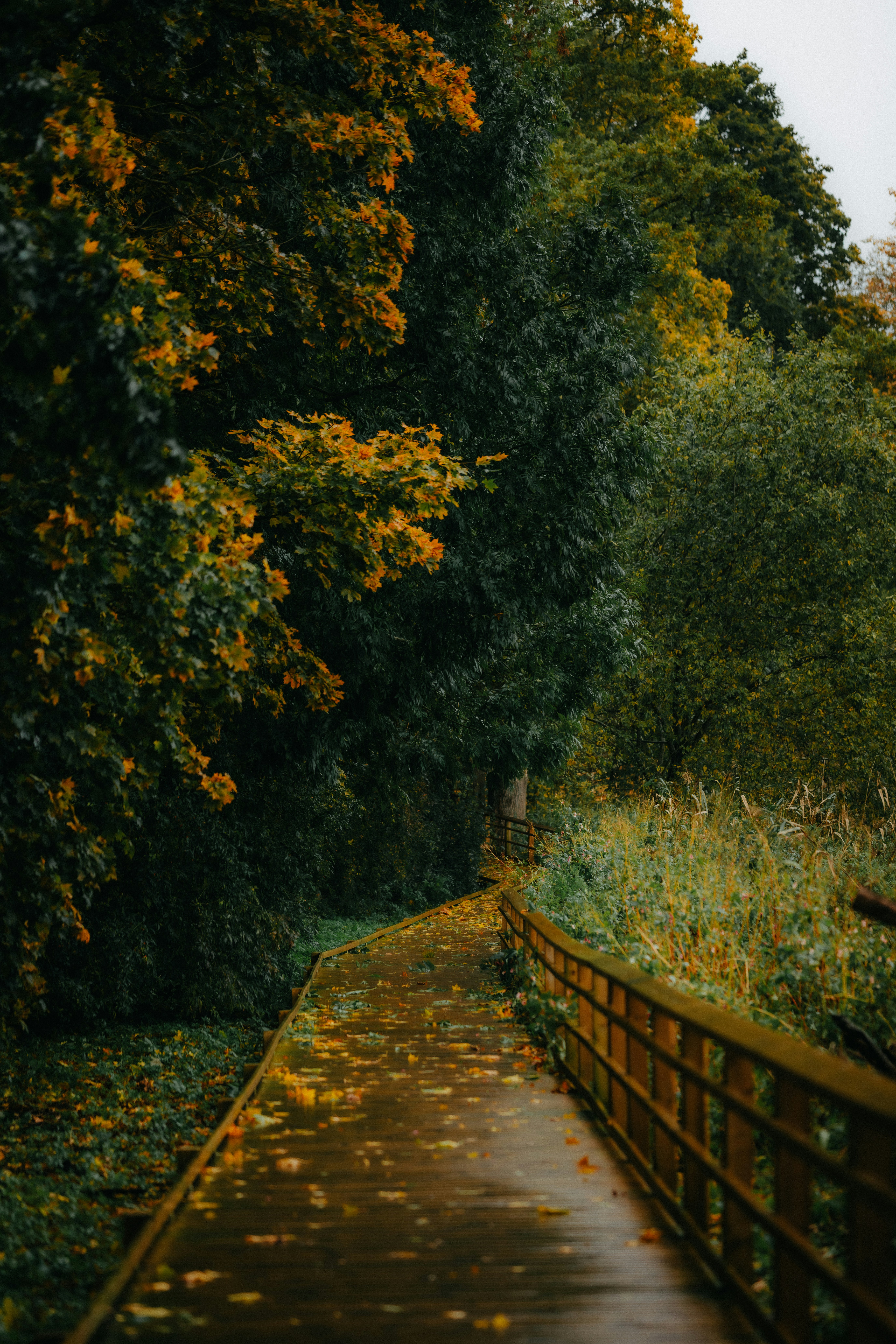 Photo by kristapsungurs