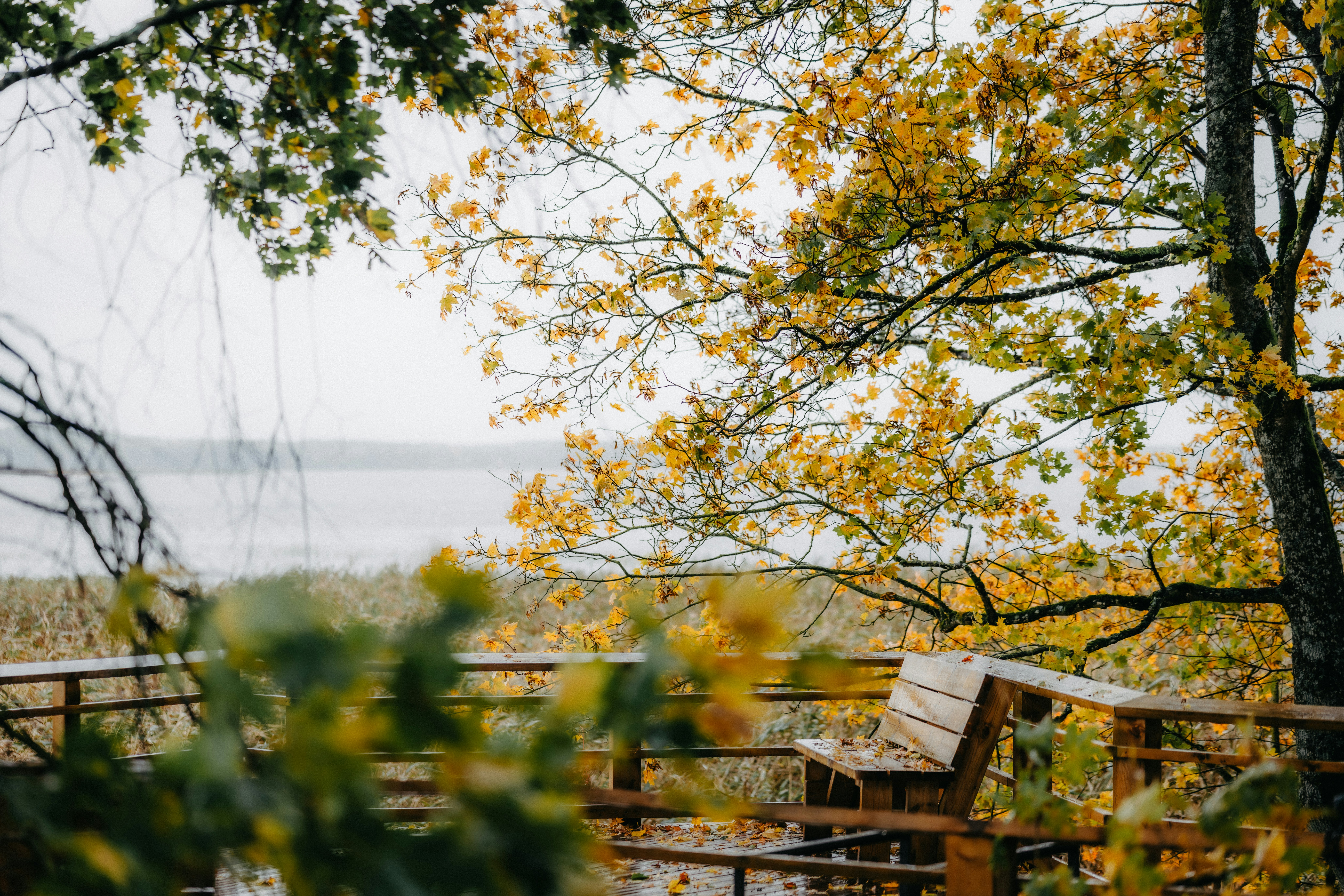 Photo by kristapsungurs