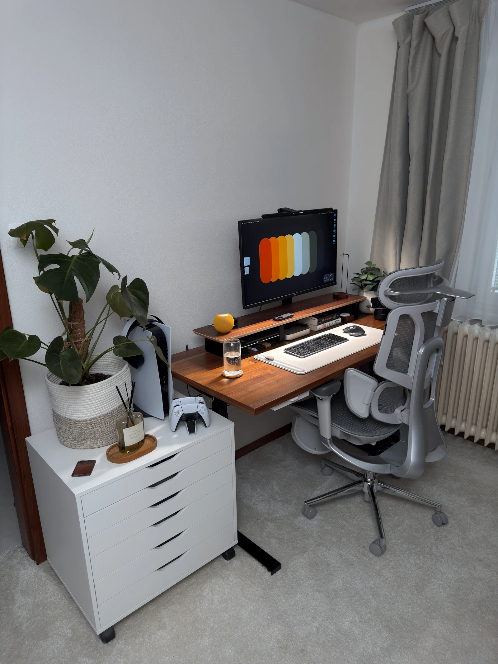 A clean modern desk setup with a monitor and a green plant