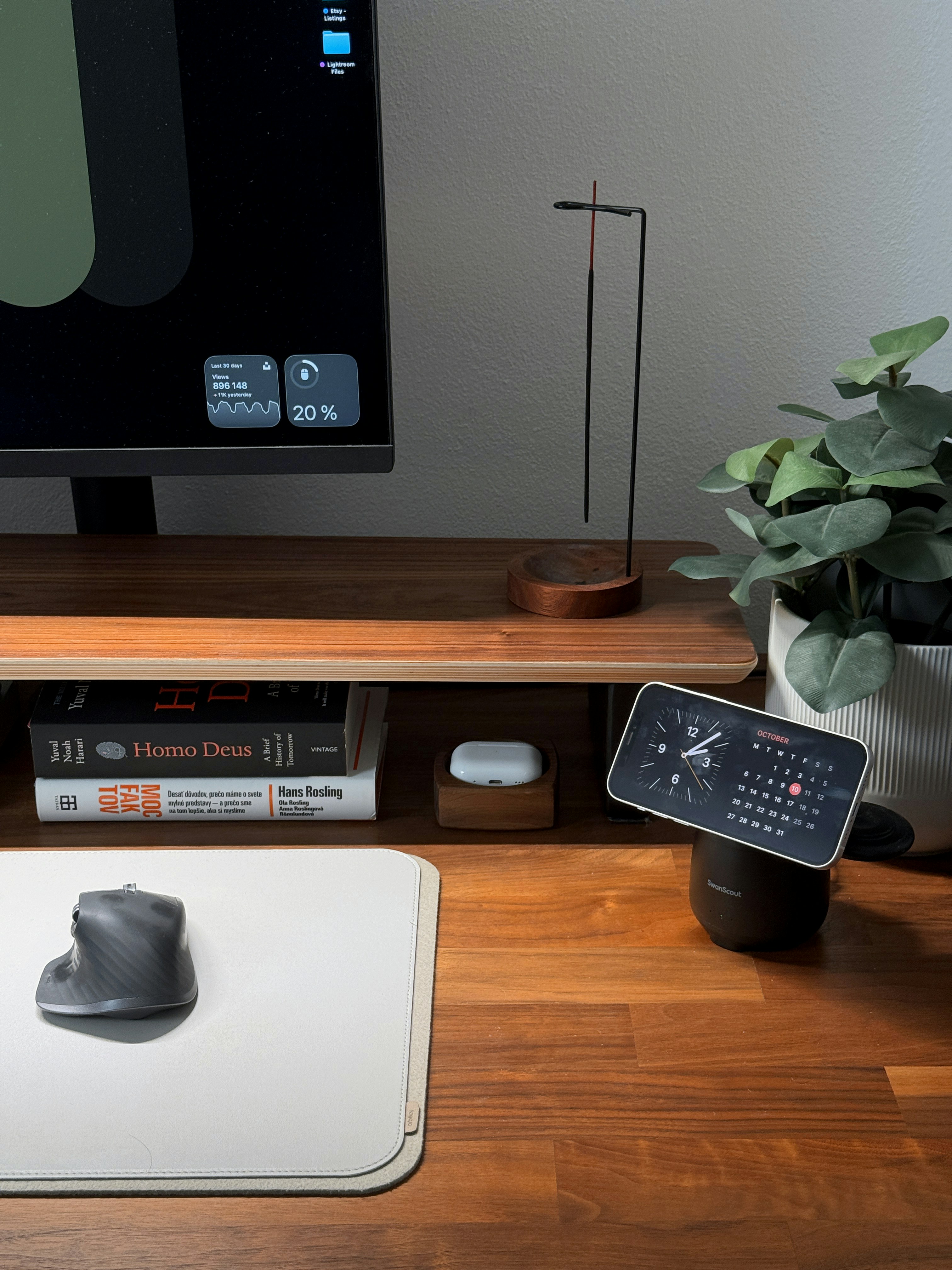 Clean home office desk setup with computer monitor and indoor plant