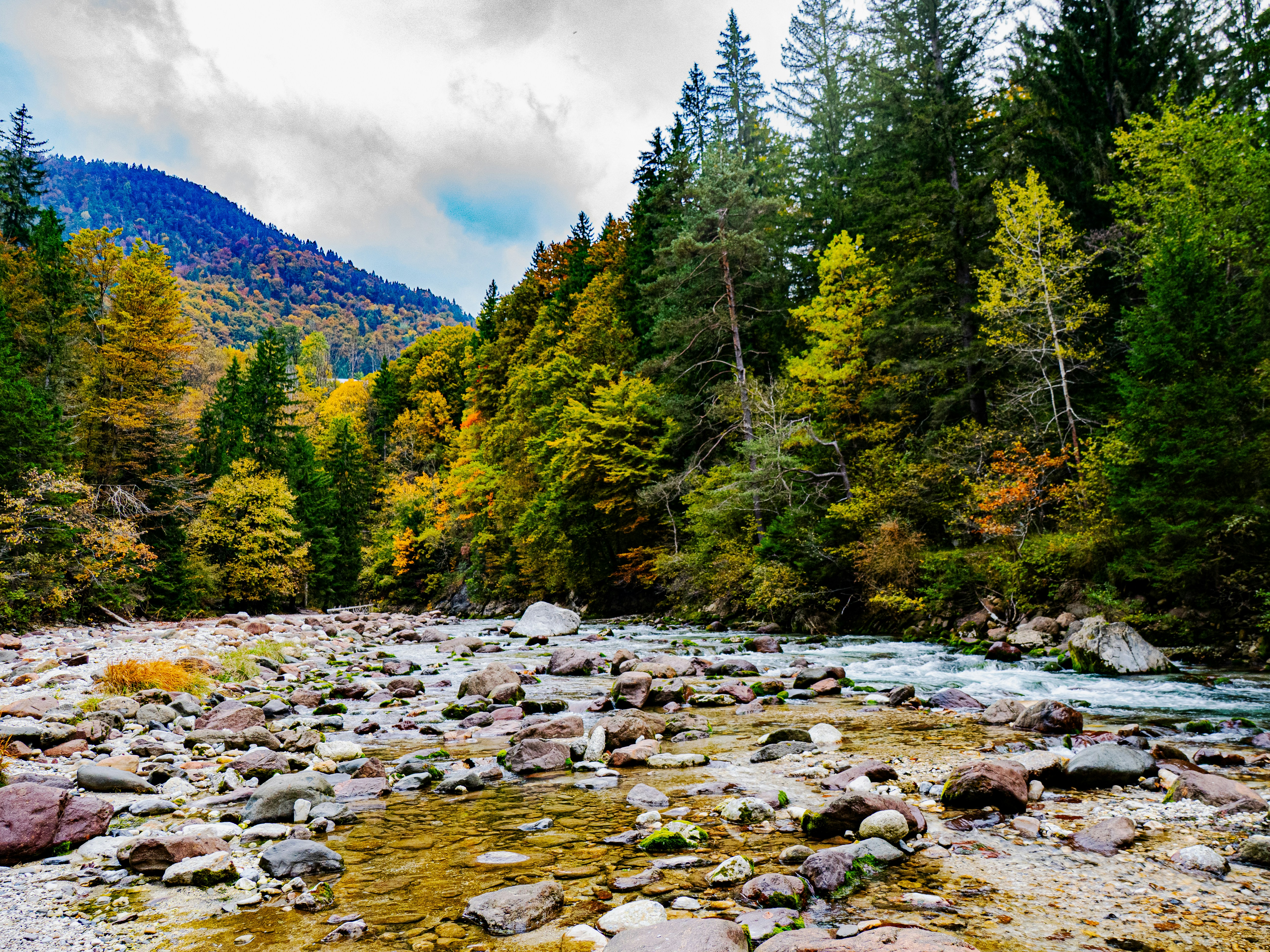 Photo by gopitri_prem