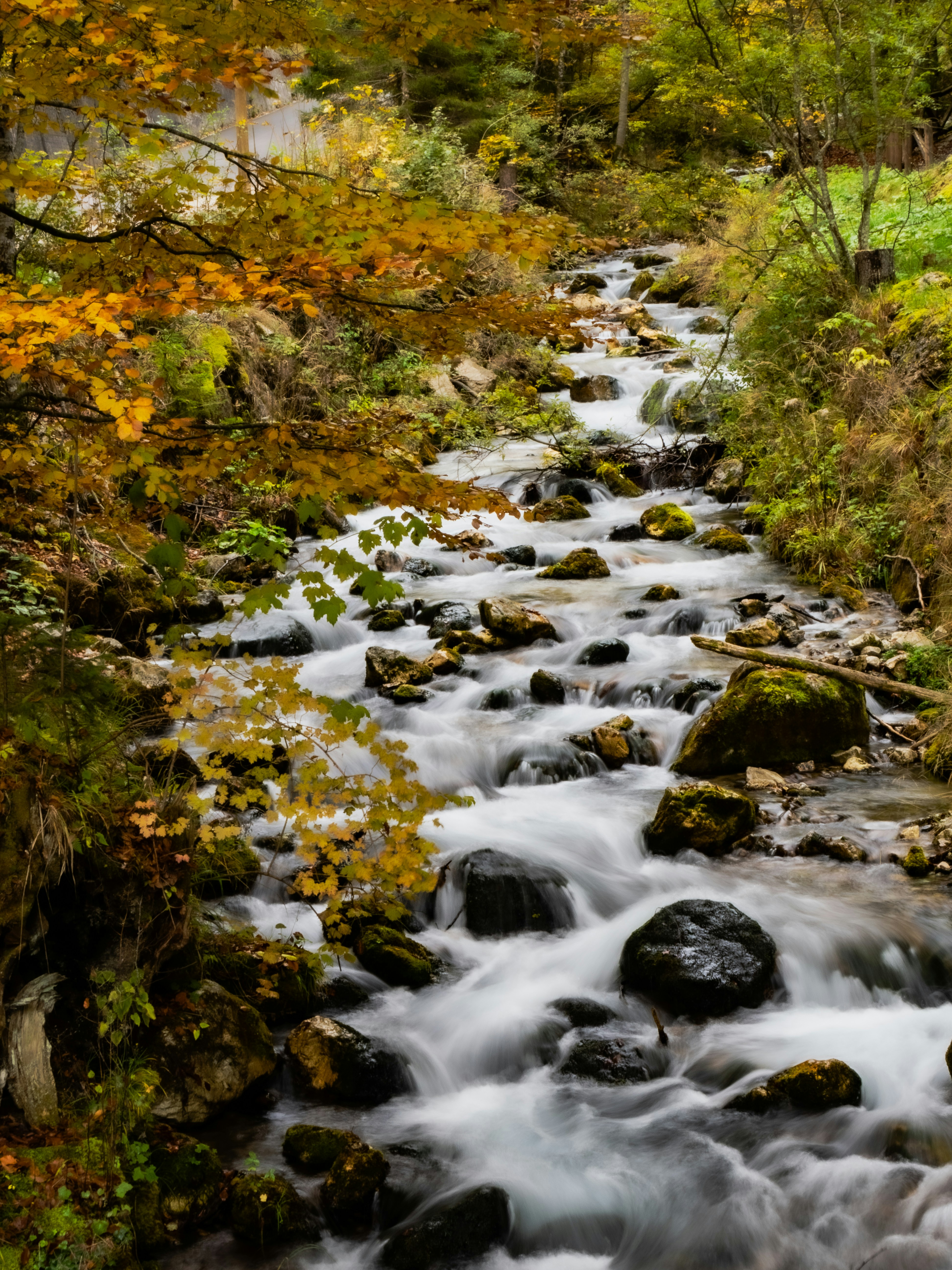 Photo by gopitri_prem