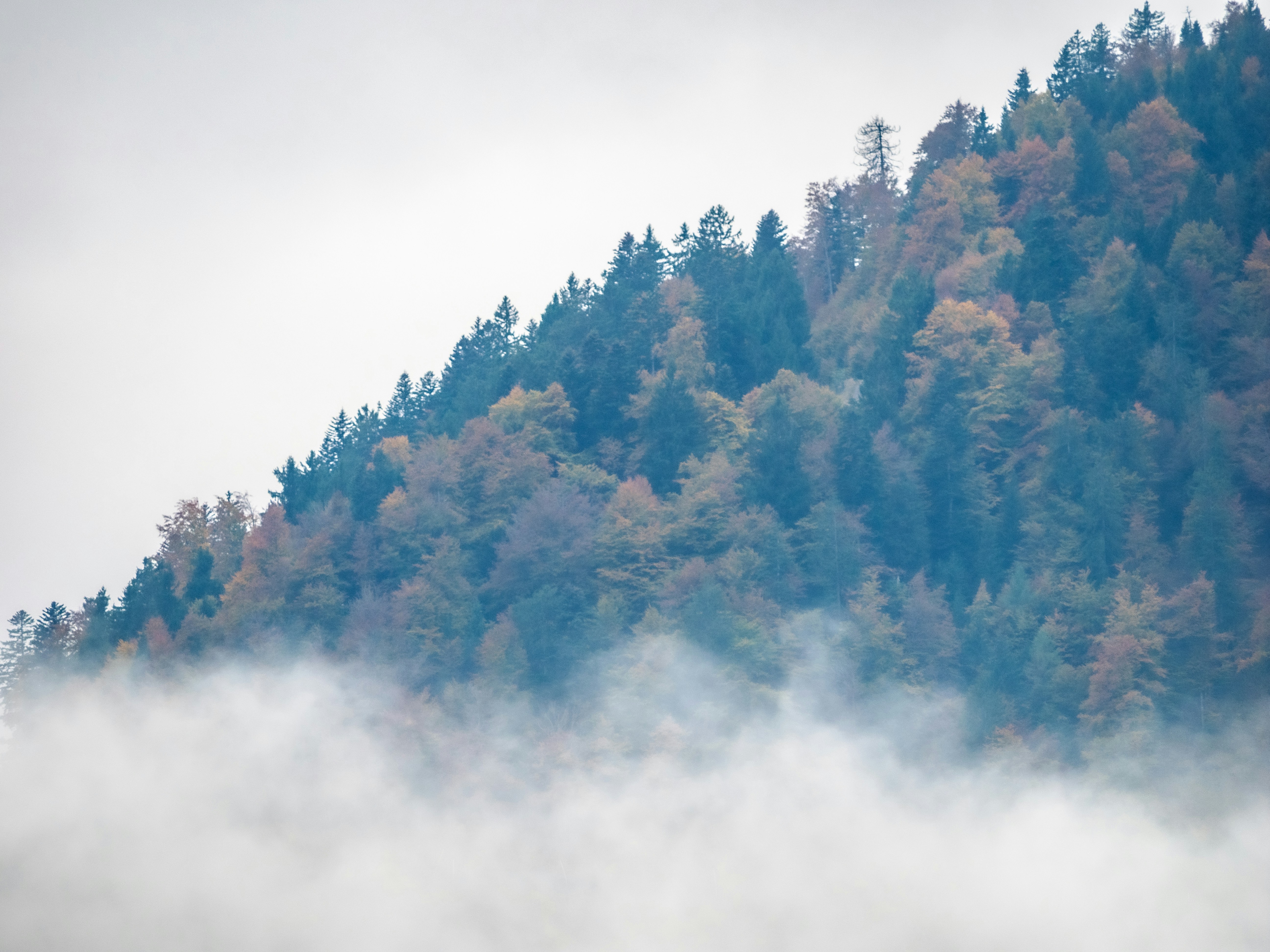 Photo by gopitri_prem