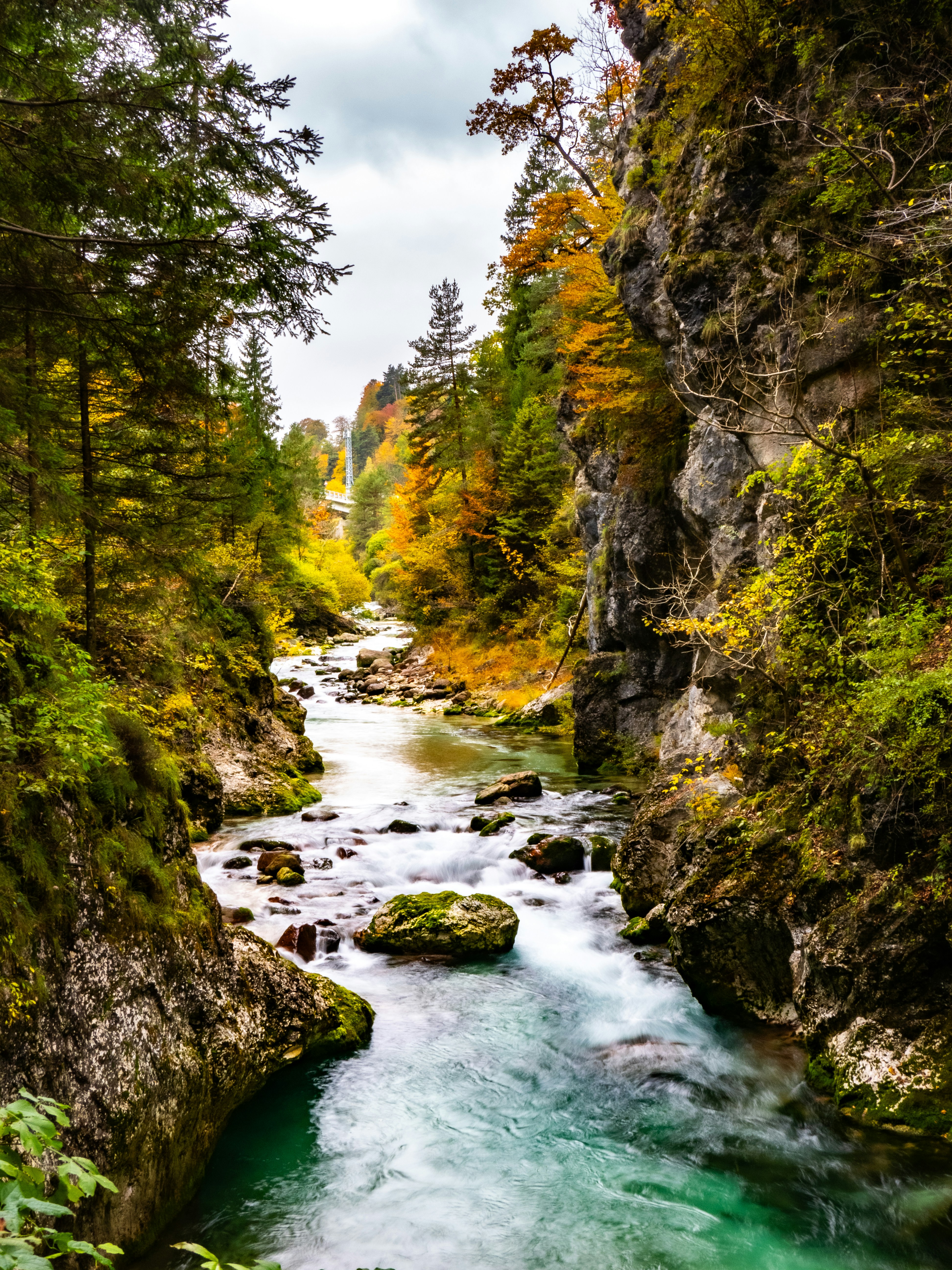 Photo by gopitri_prem