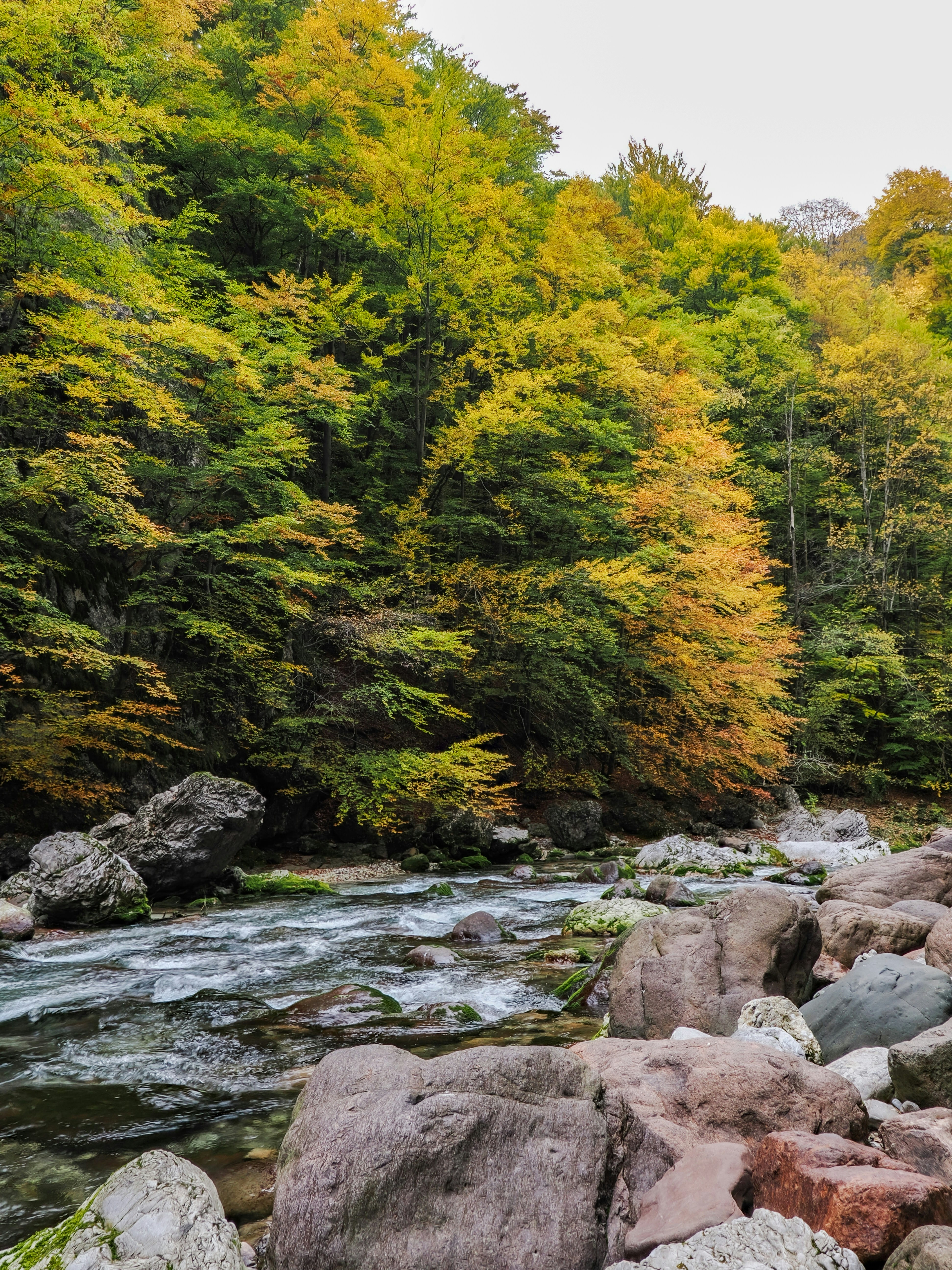 Photo by gopitri_prem