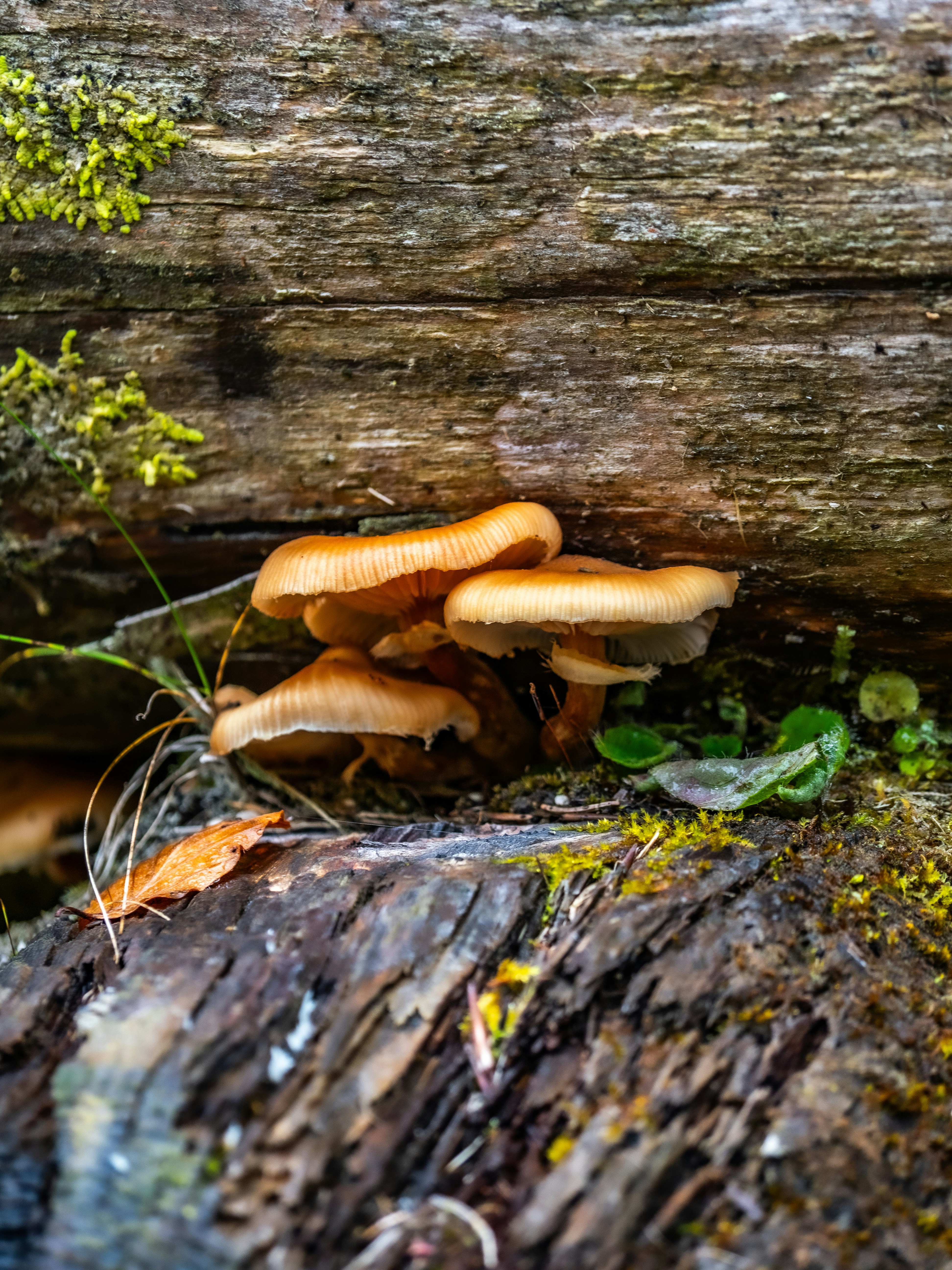 Photo by gopitri_prem