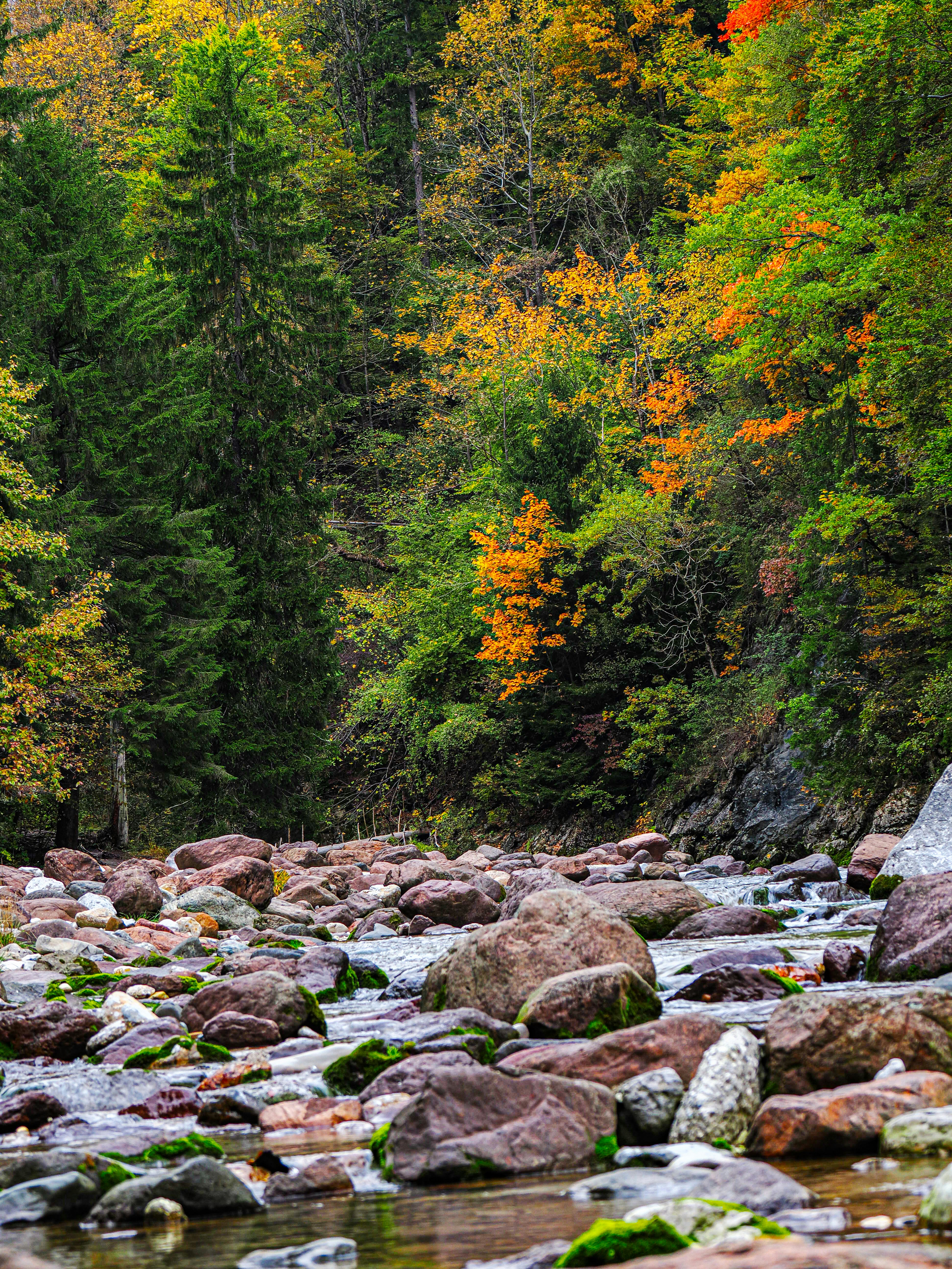 Photo by gopitri_prem