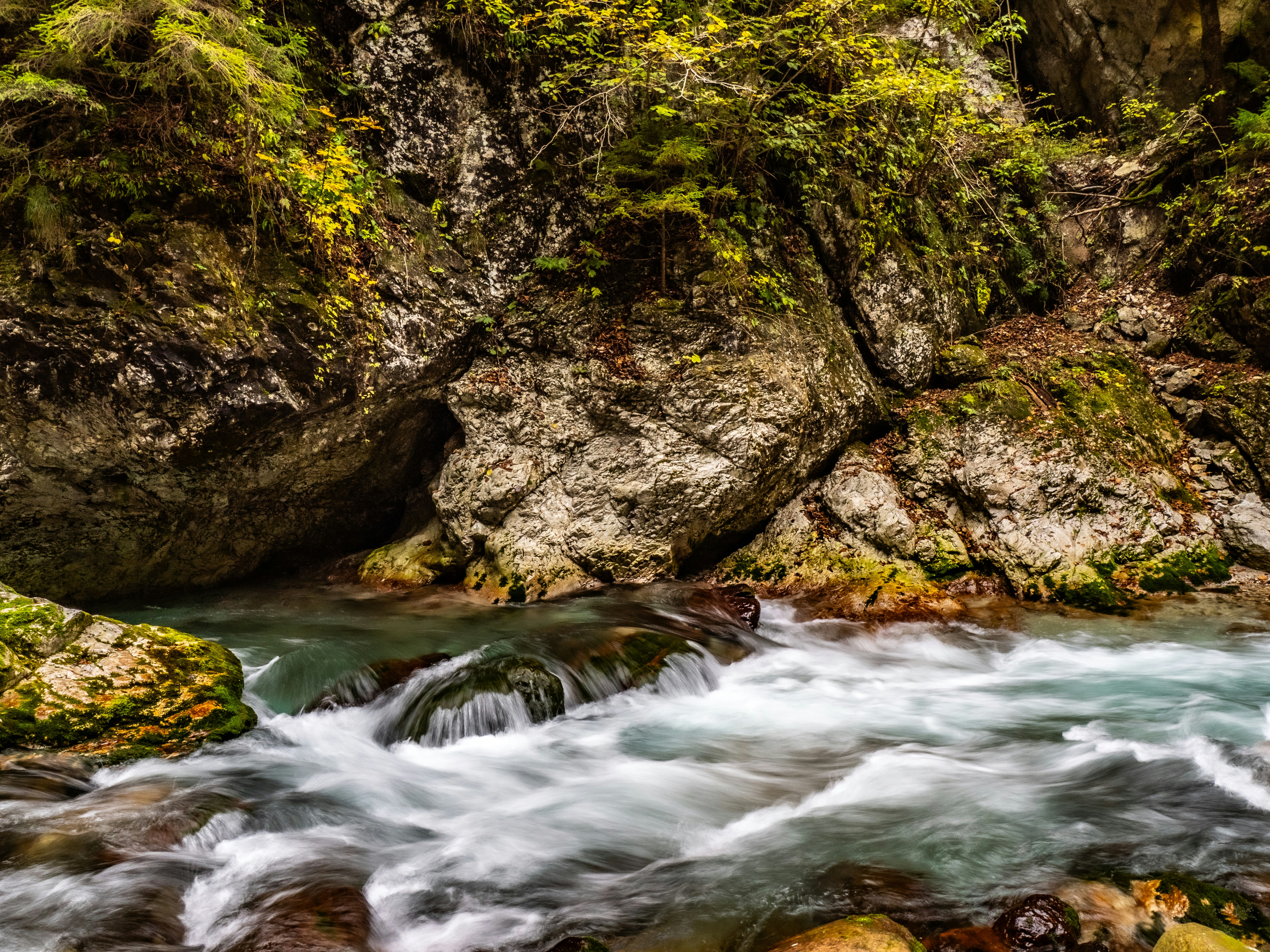 Photo by gopitri_prem