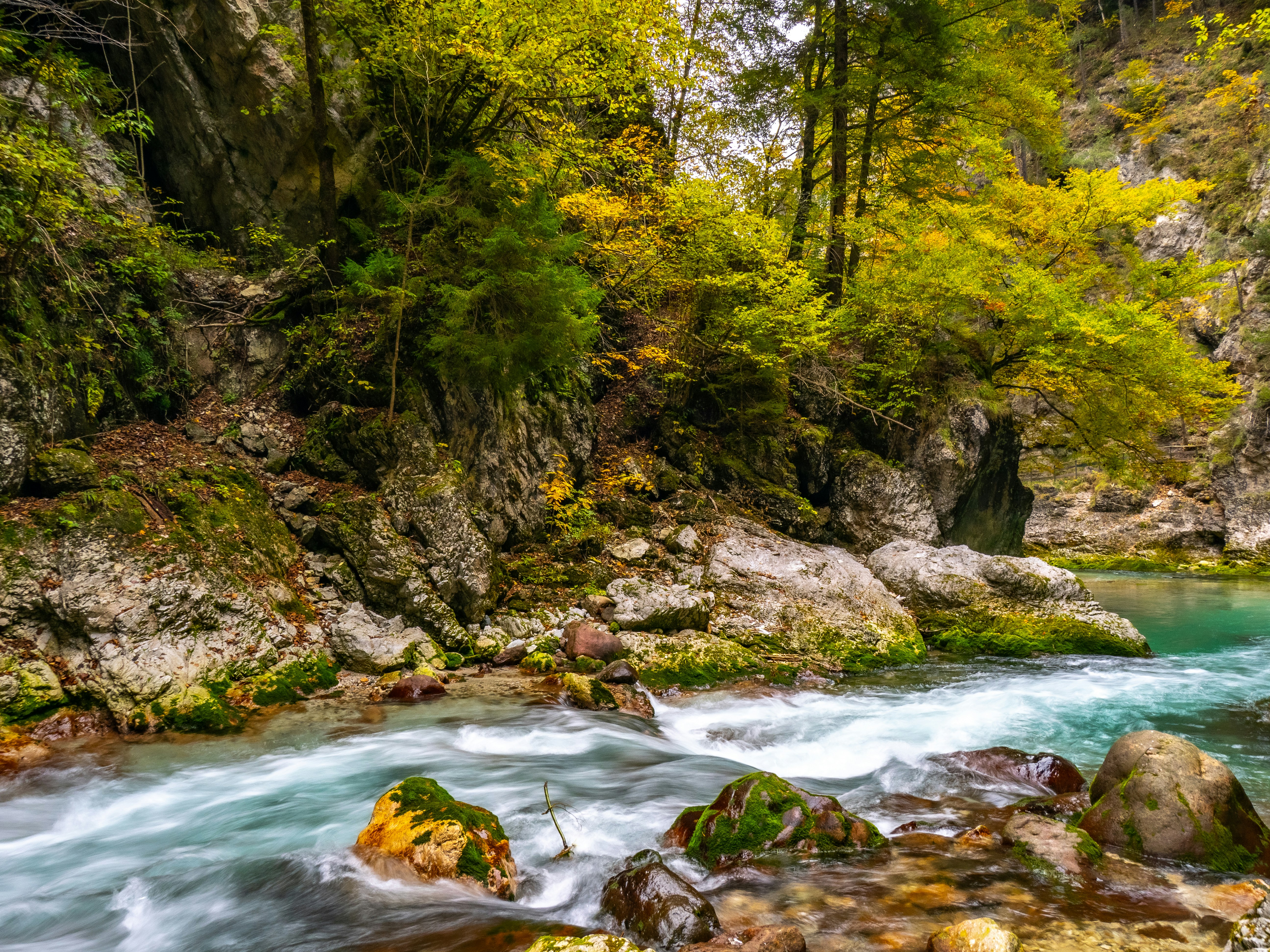 Photo by gopitri_prem