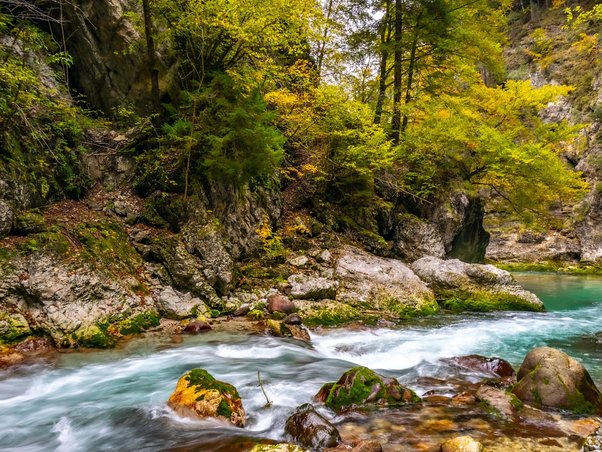 St. Croix River: Taylors Falls to Osceola