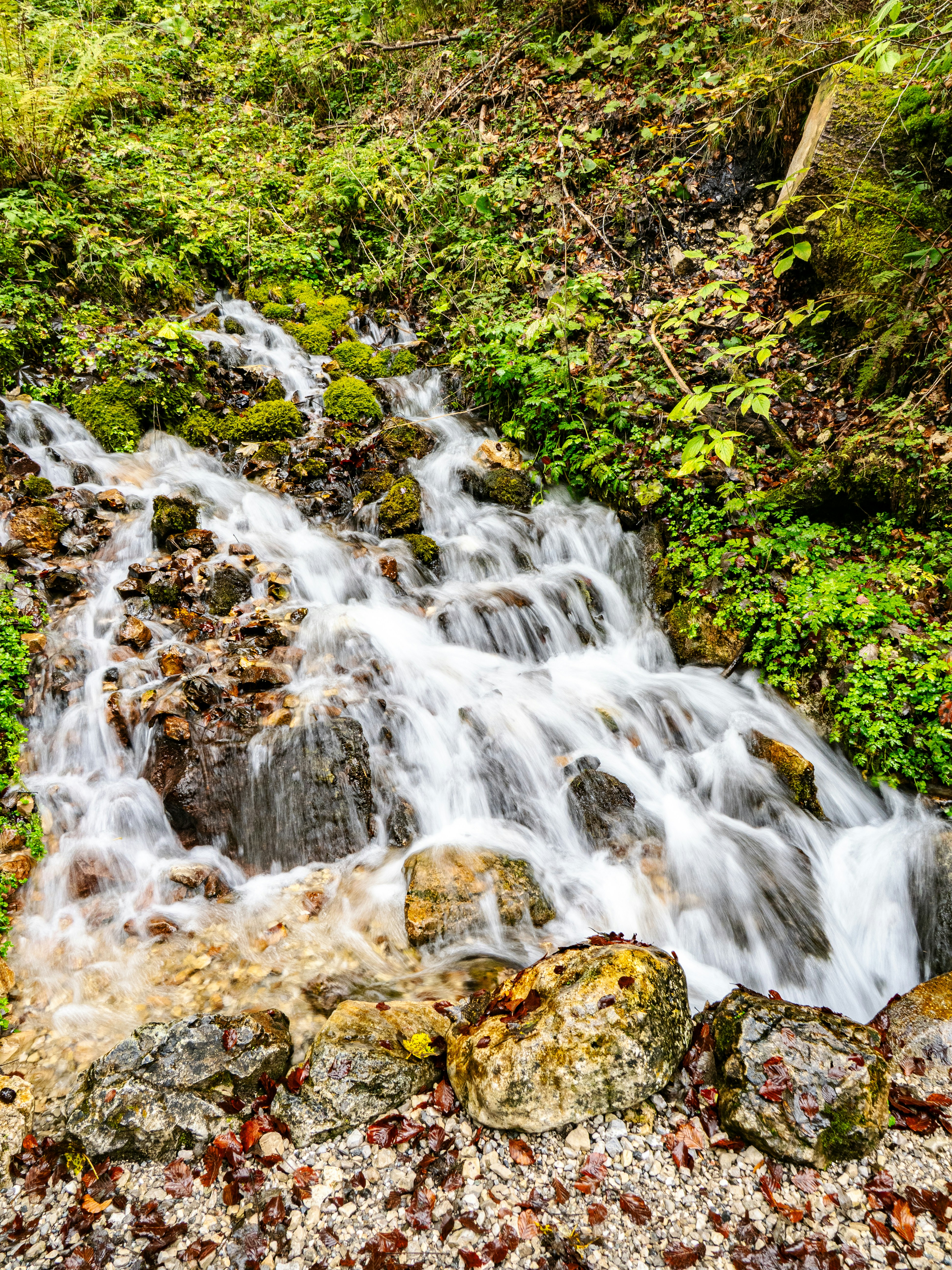 Photo by gopitri_prem