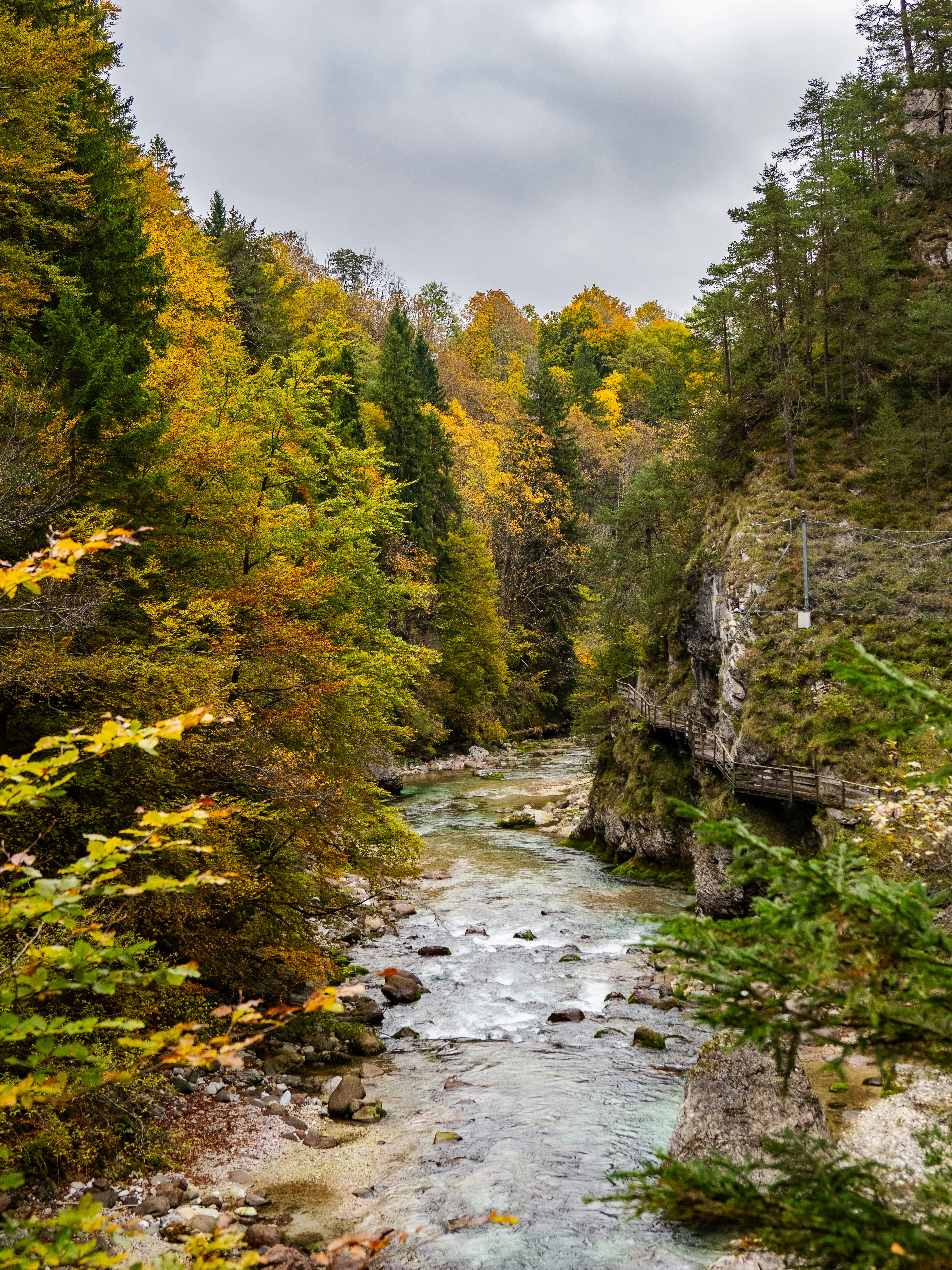 Photo by gopitri_prem