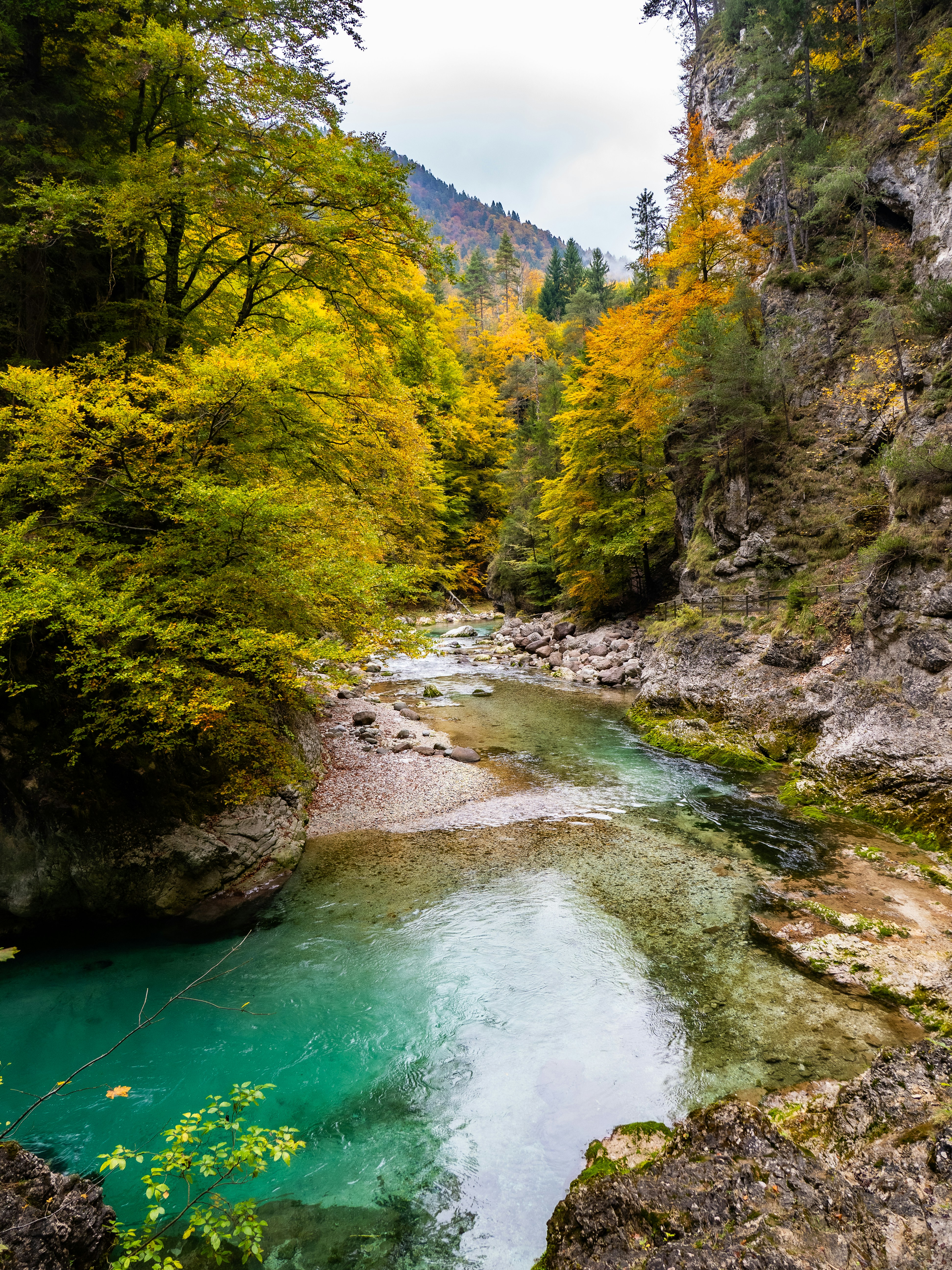 Photo by gopitri_prem