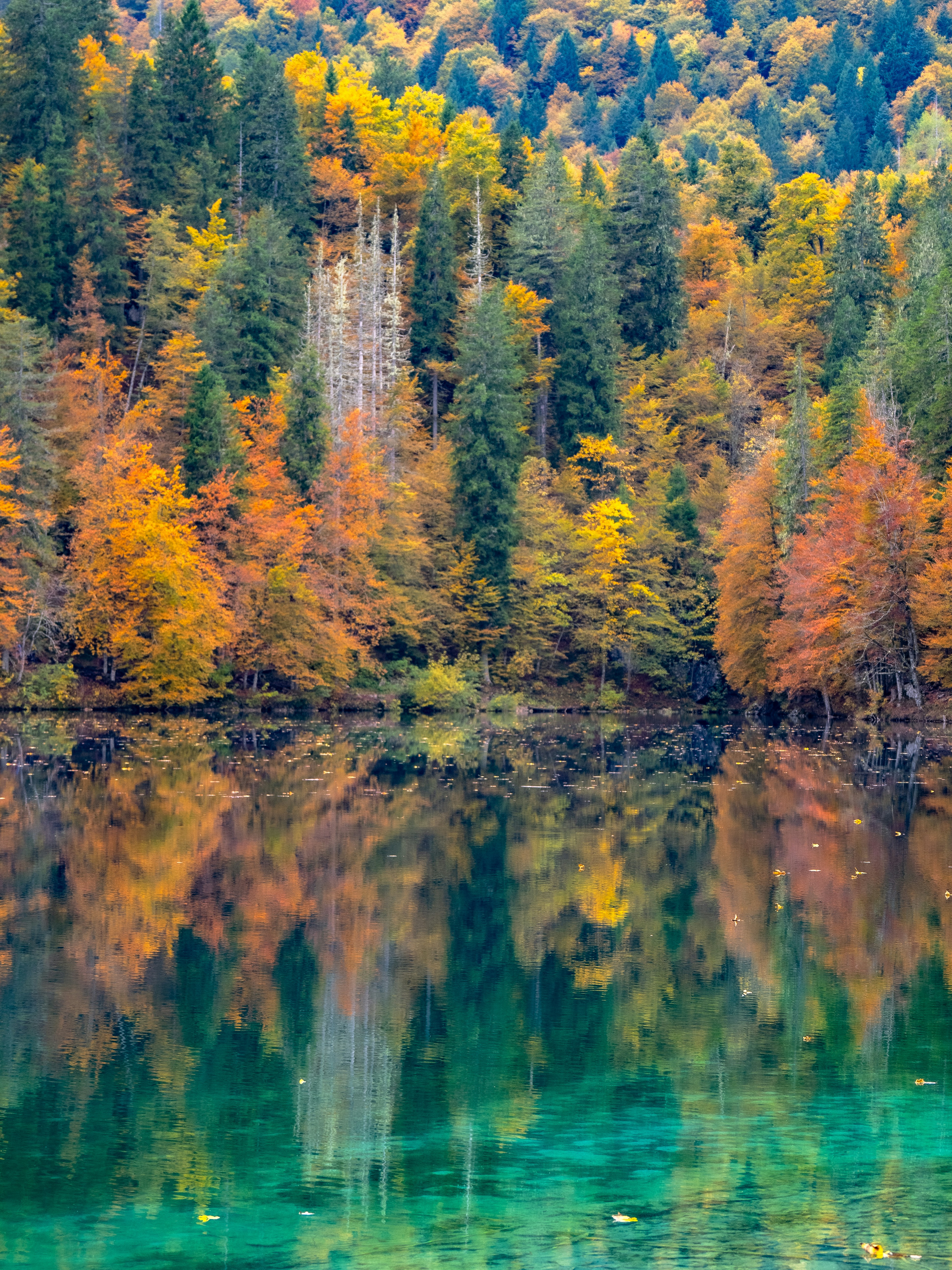 Photo by gopitri_prem