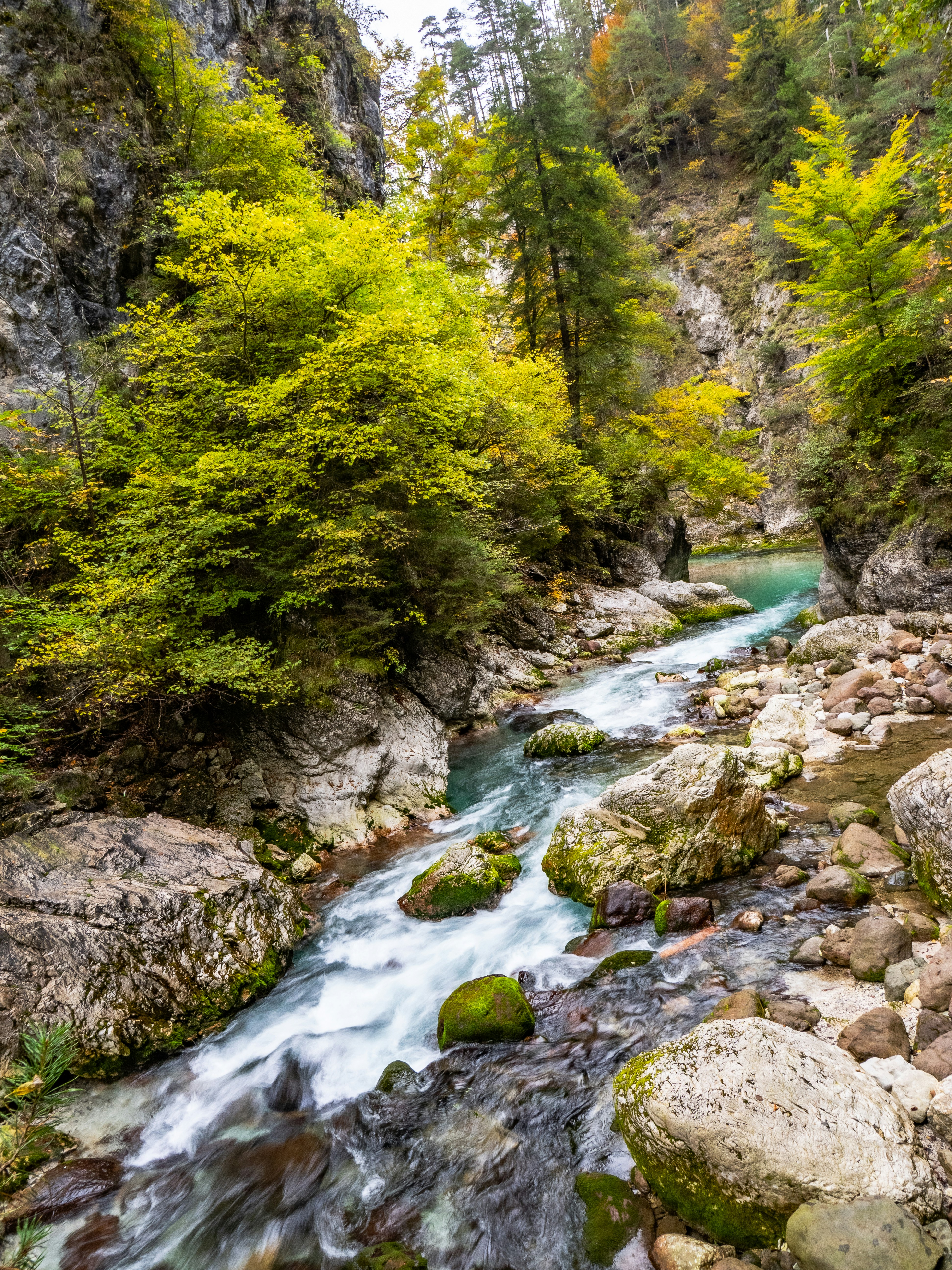 Photo by gopitri_prem