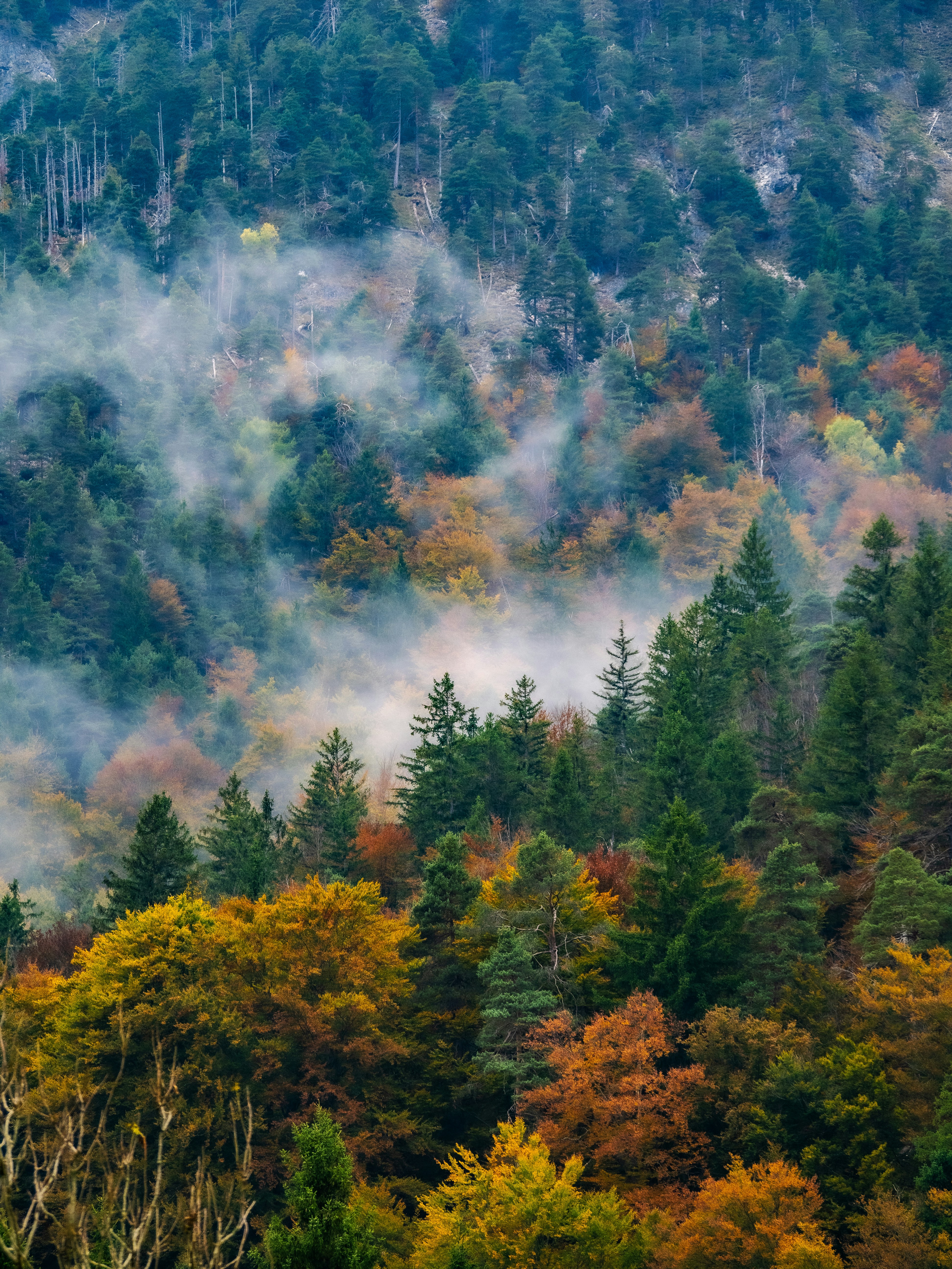 Photo by gopitri_prem