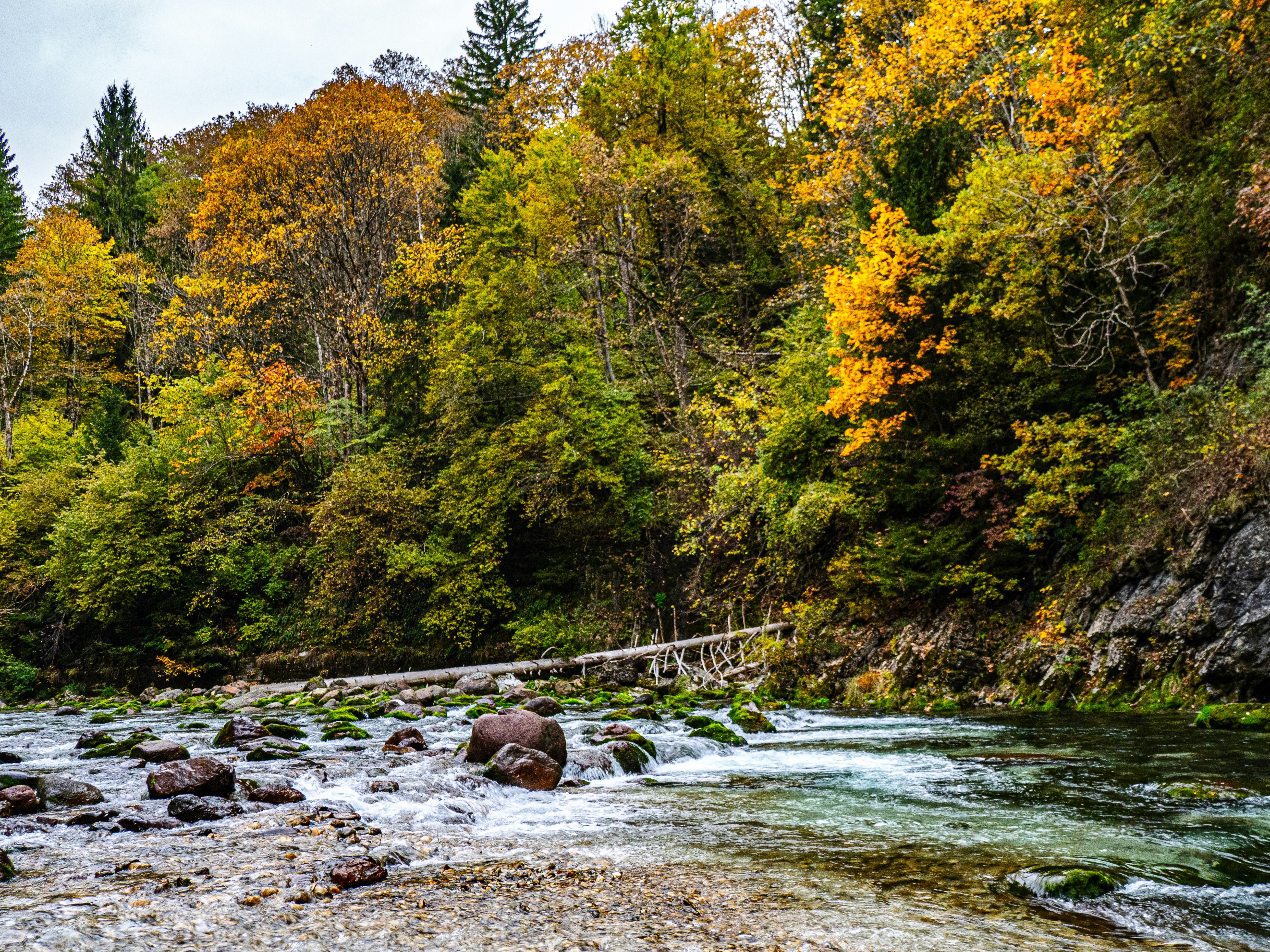 Photo by gopitri_prem