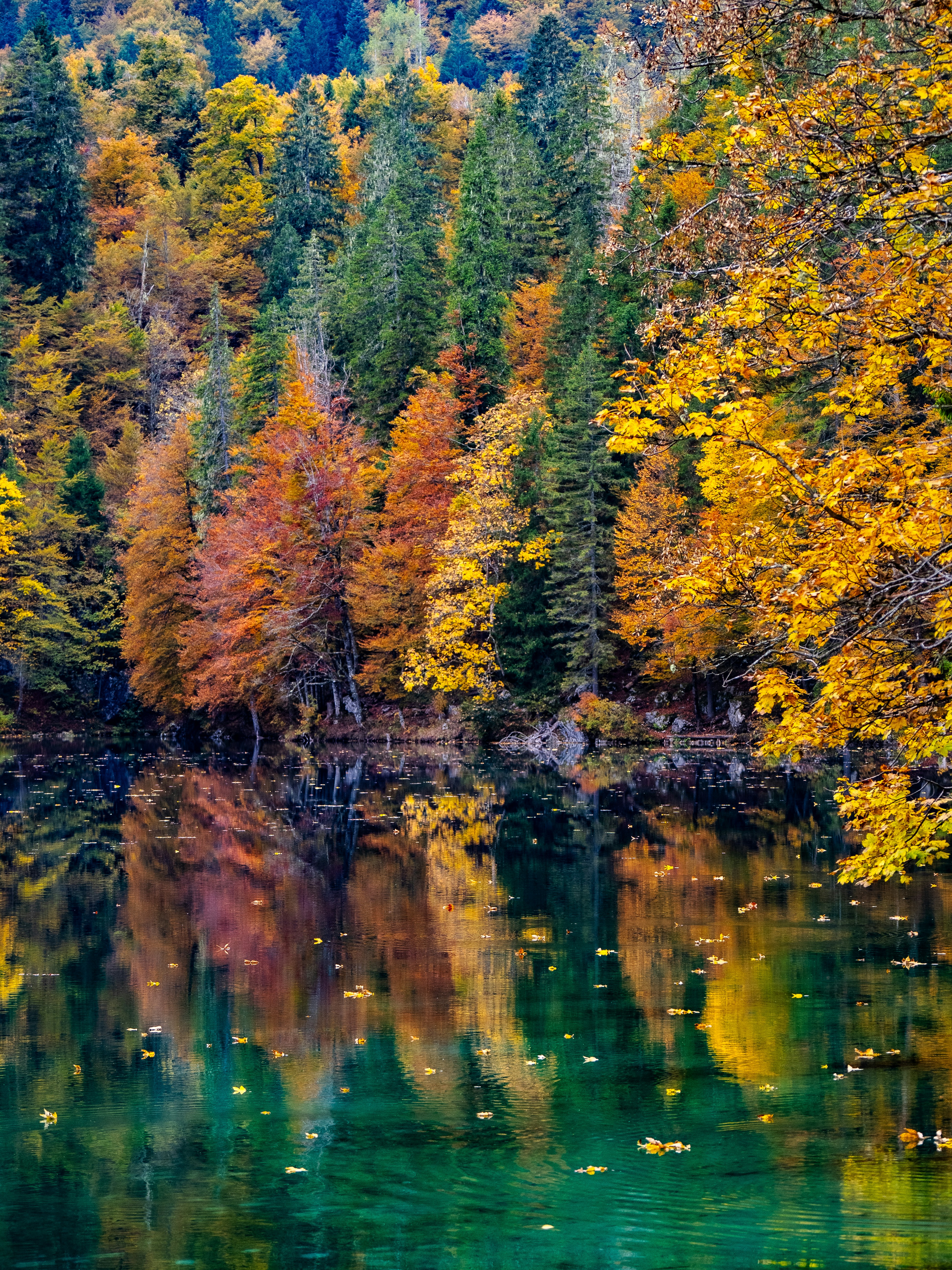 Photo by gopitri_prem