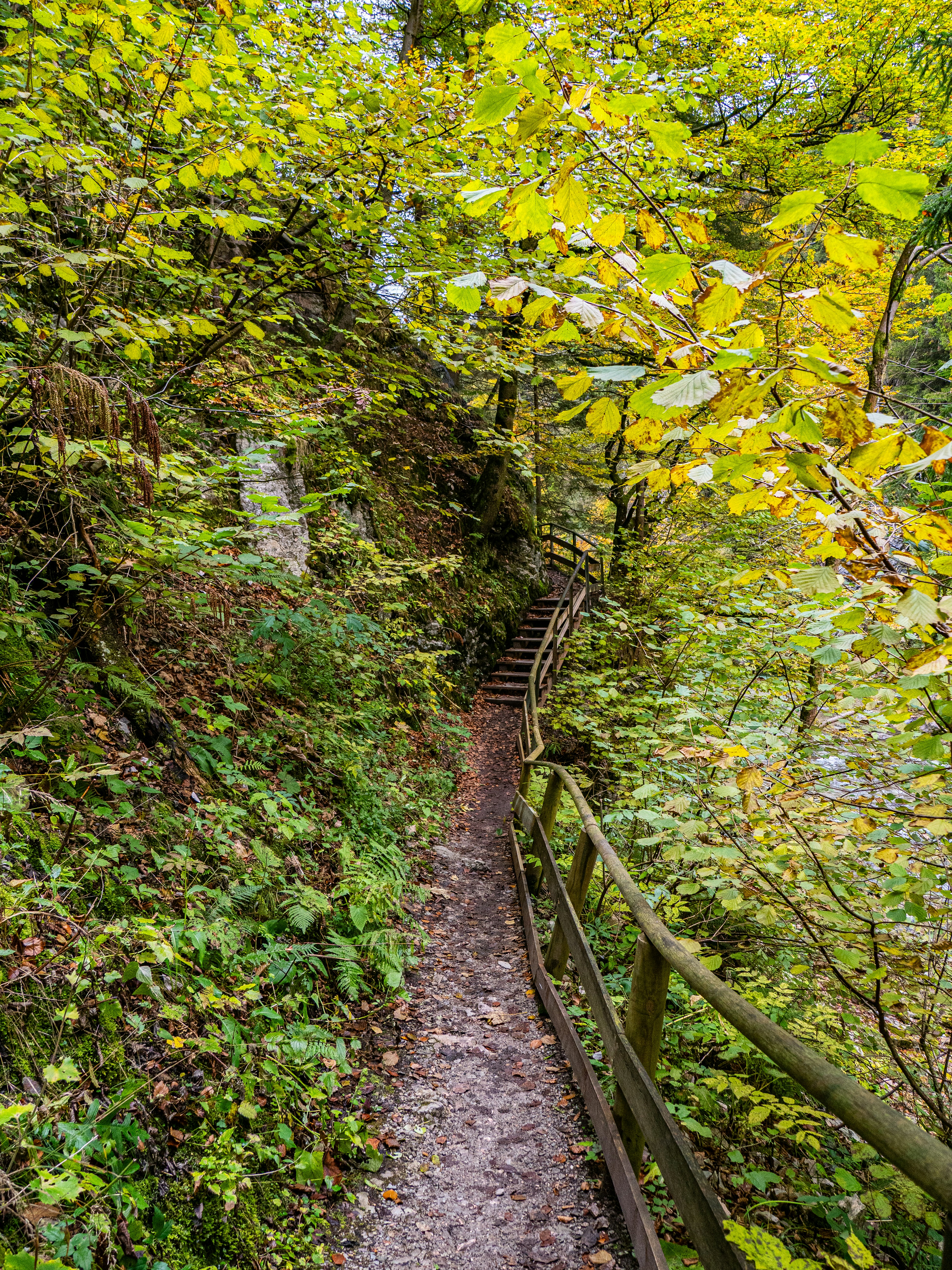 Photo by gopitri_prem