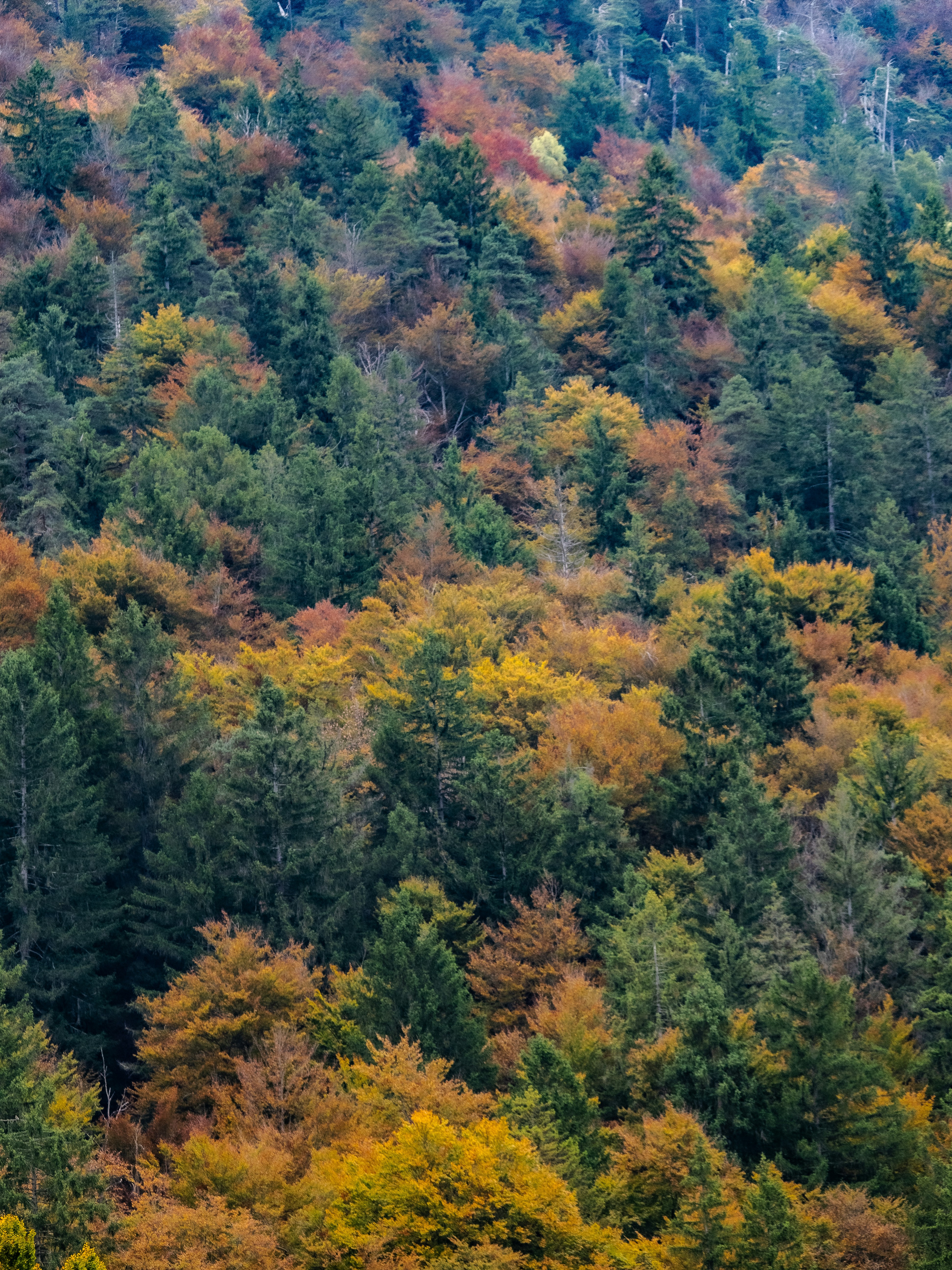 Photo by gopitri_prem