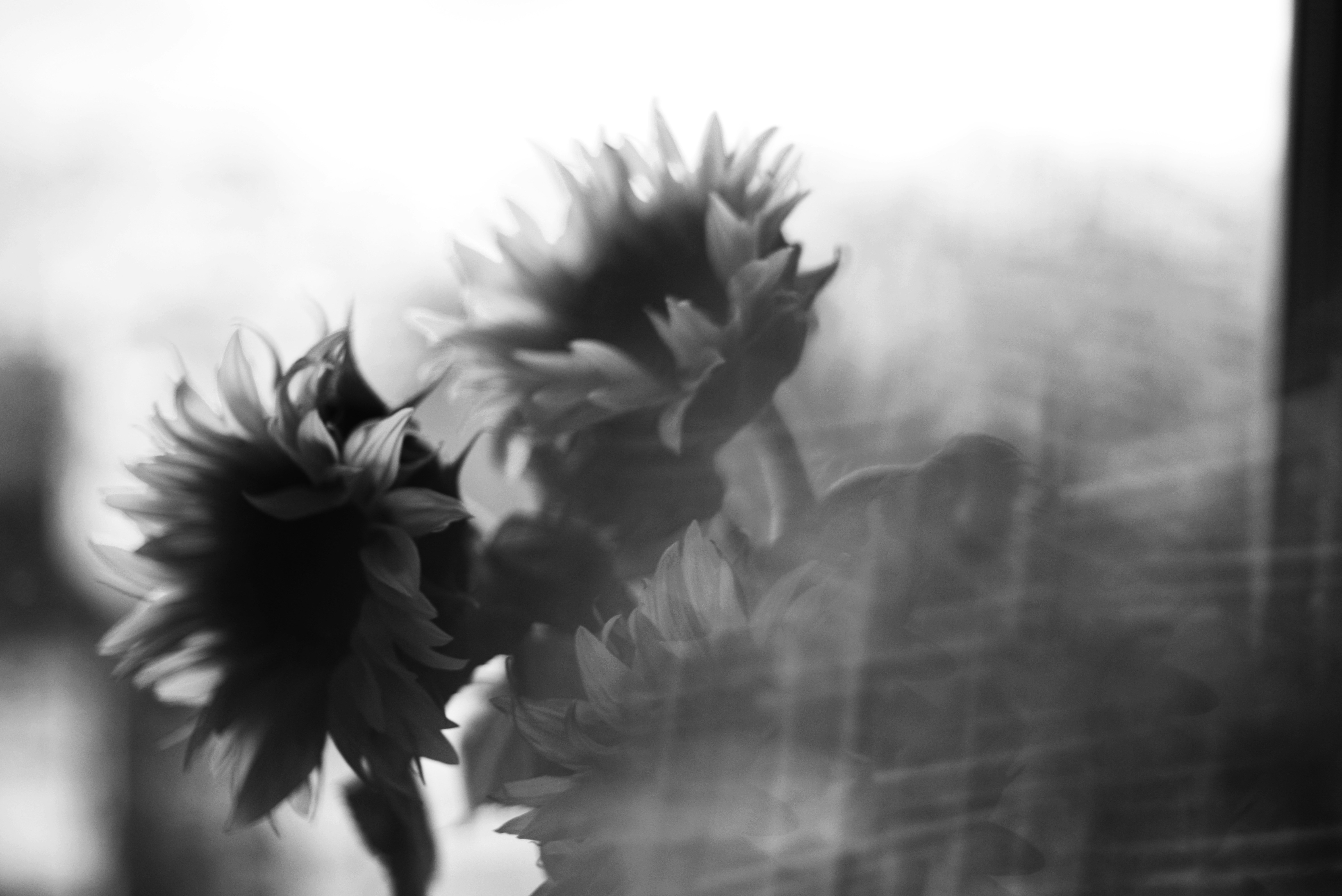 Photo by cherstve_pechivo