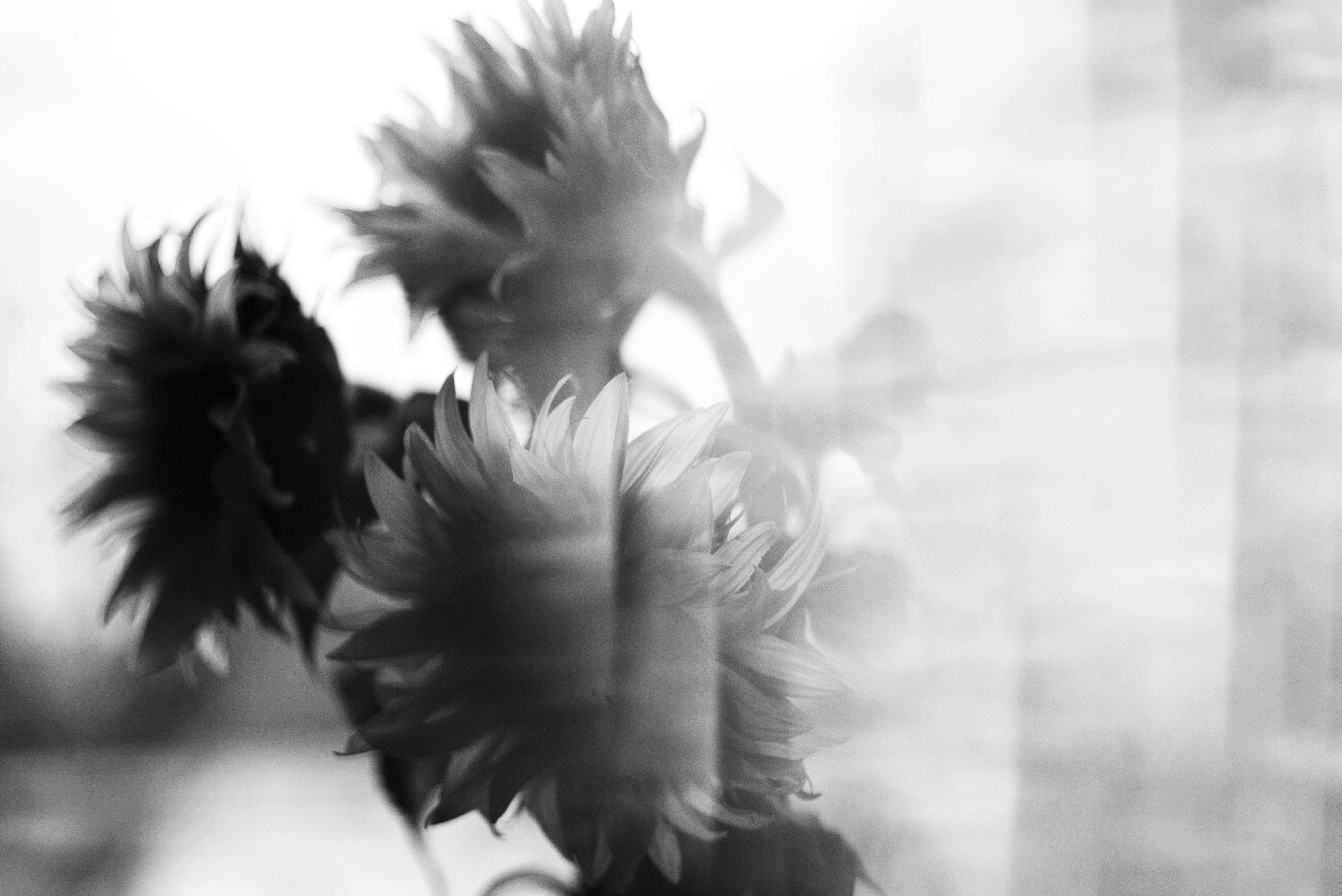 Photo by cherstve_pechivo