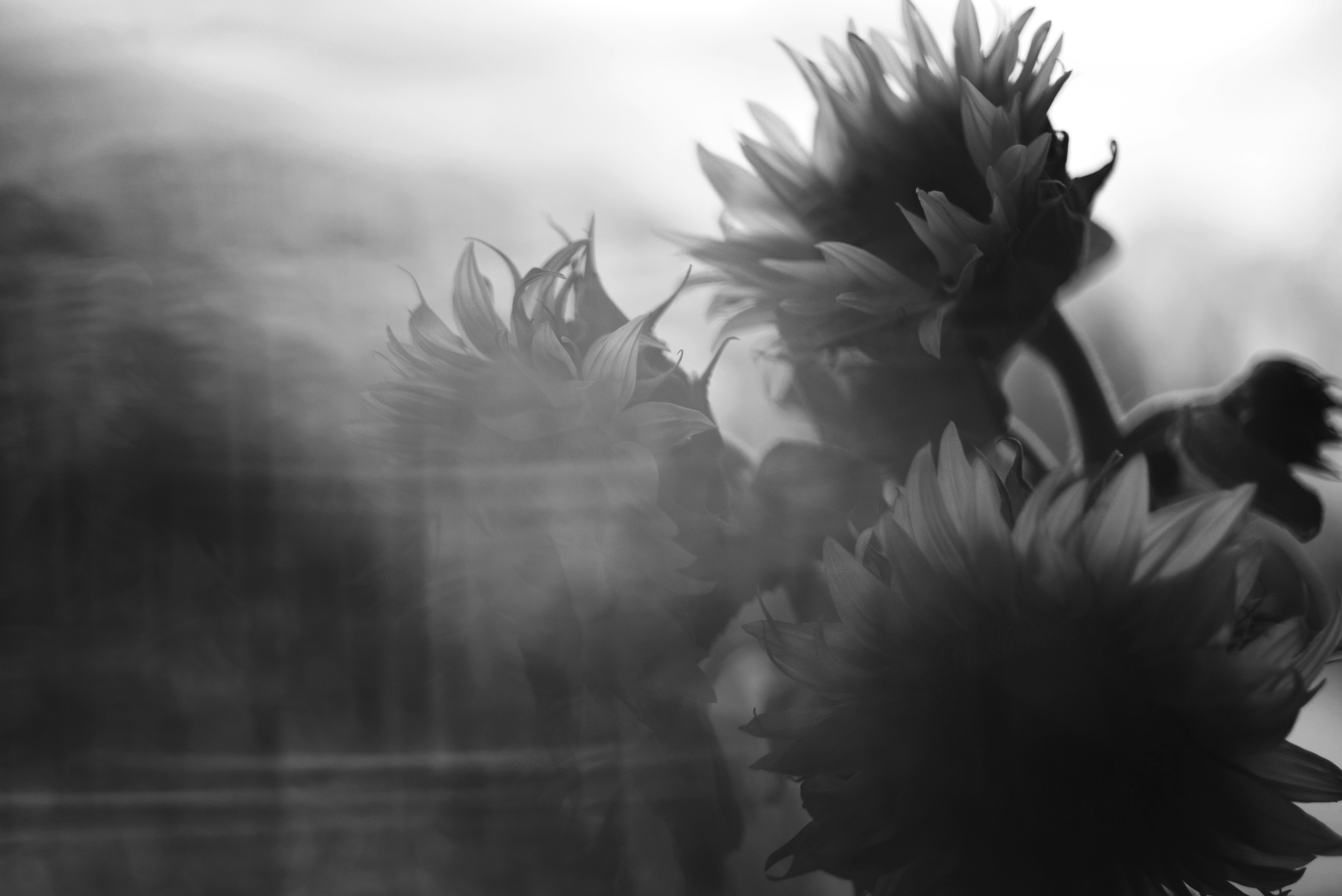 Photo by cherstve_pechivo