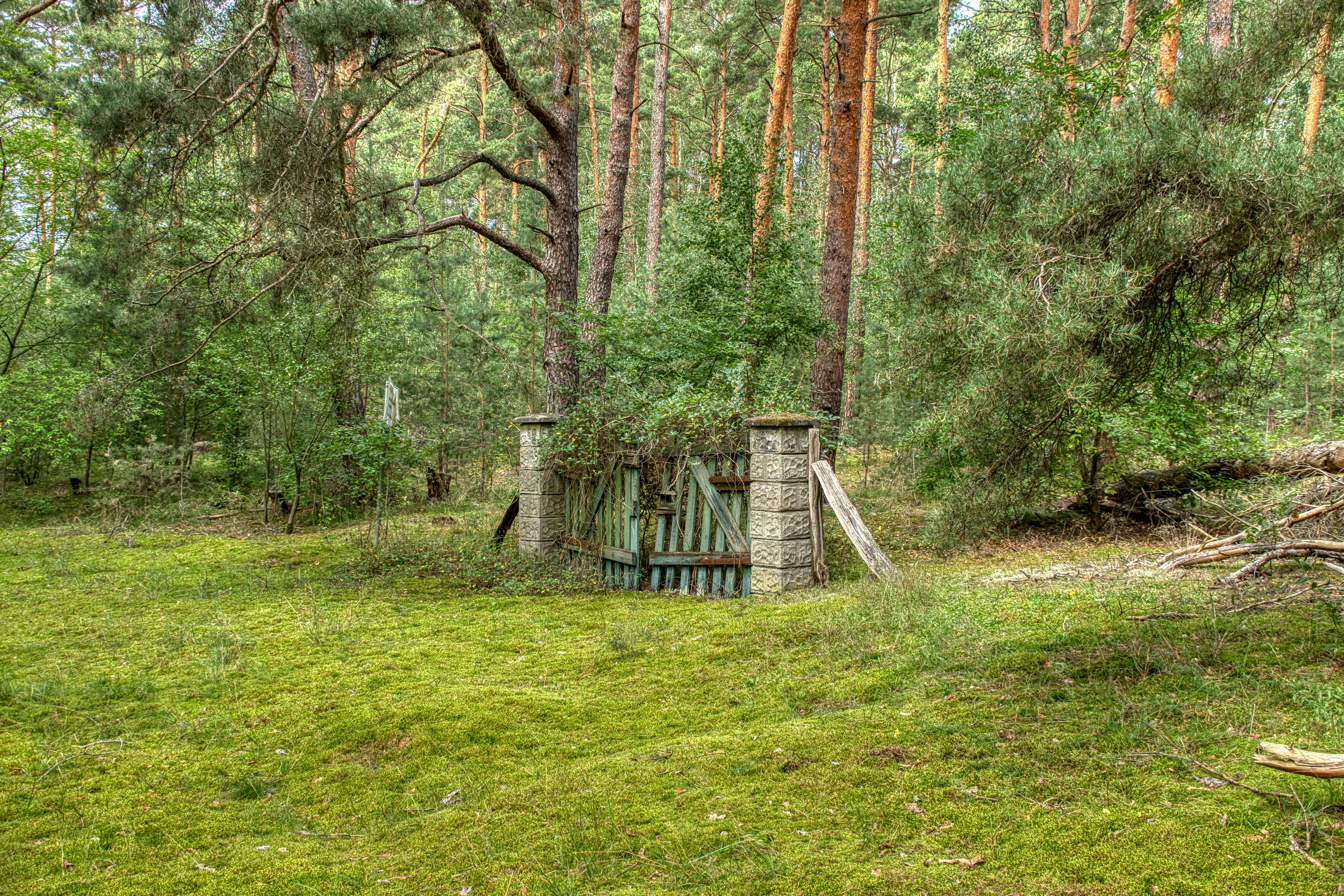 wooden gate entrance