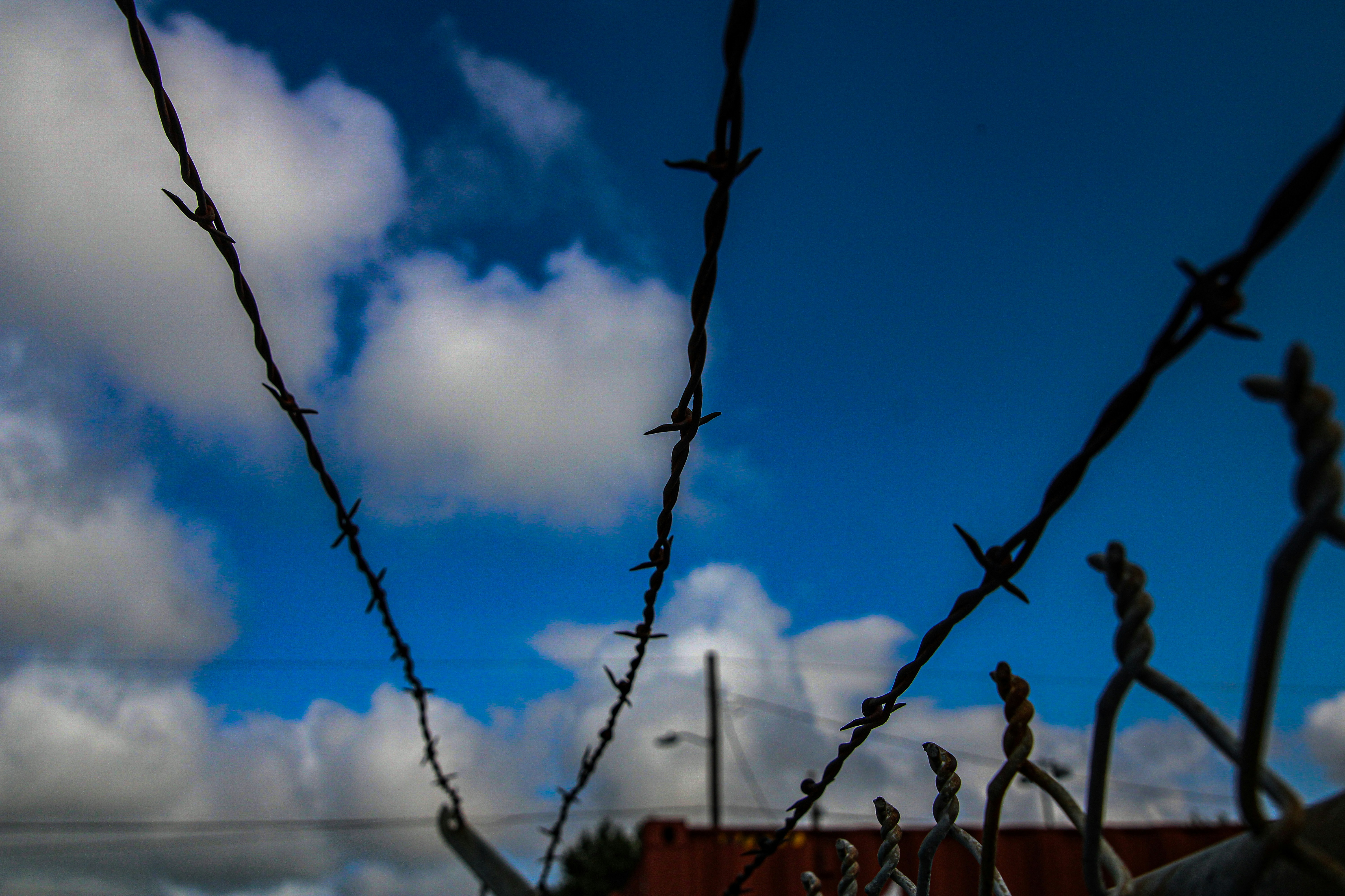 Photo by nextgenpics