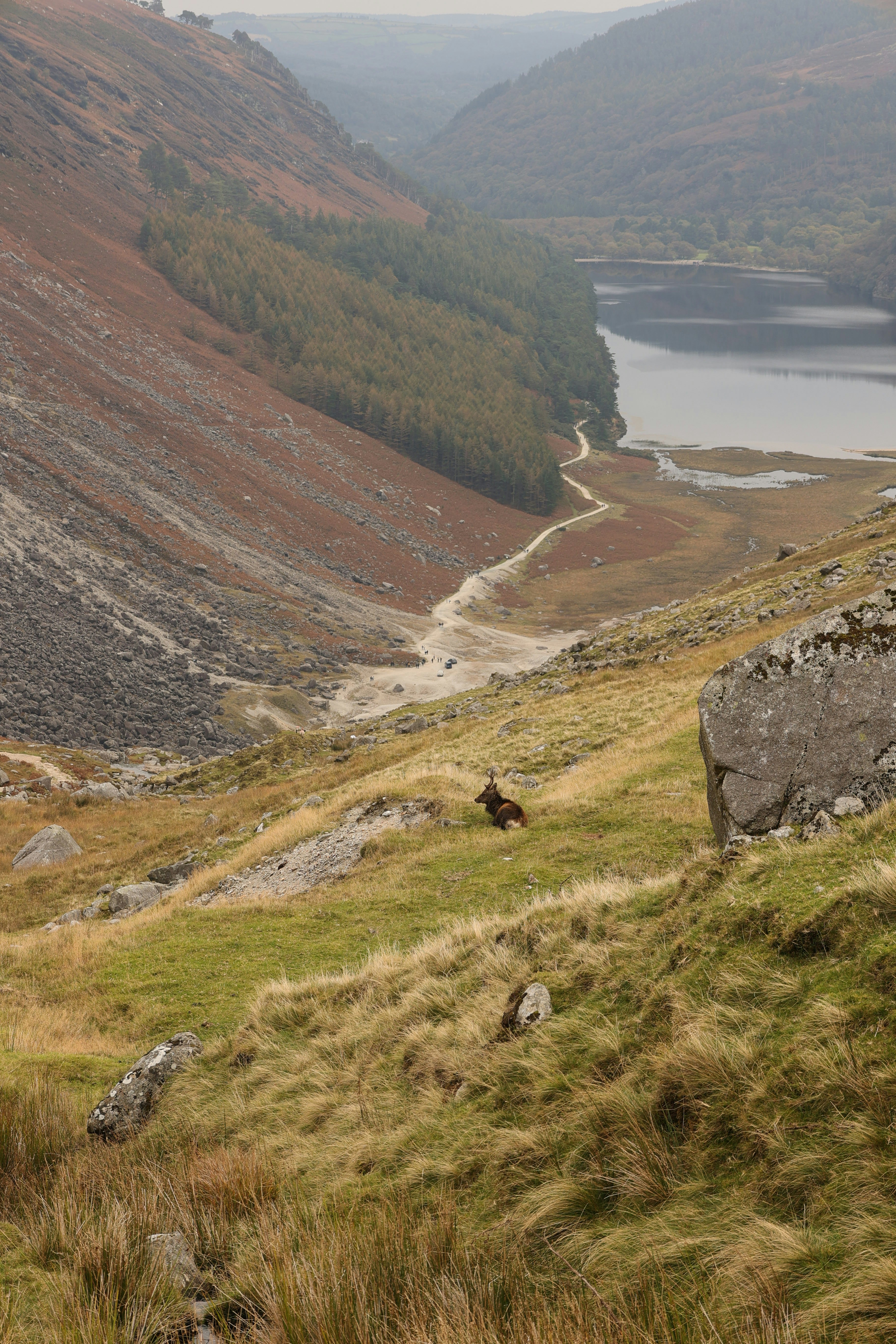 A lone person walks a path by a lake.