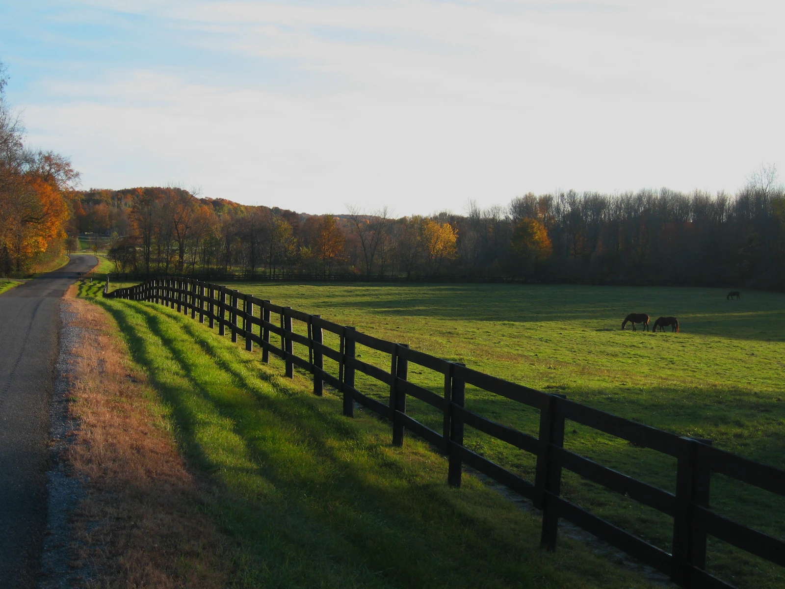 Quiet country road through open farmland in rural West Grey