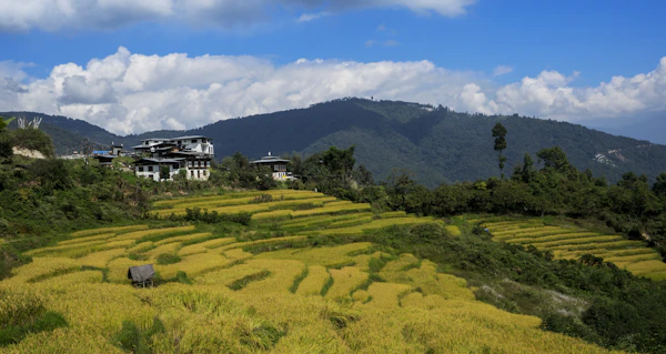 Bhutanese Cuisine