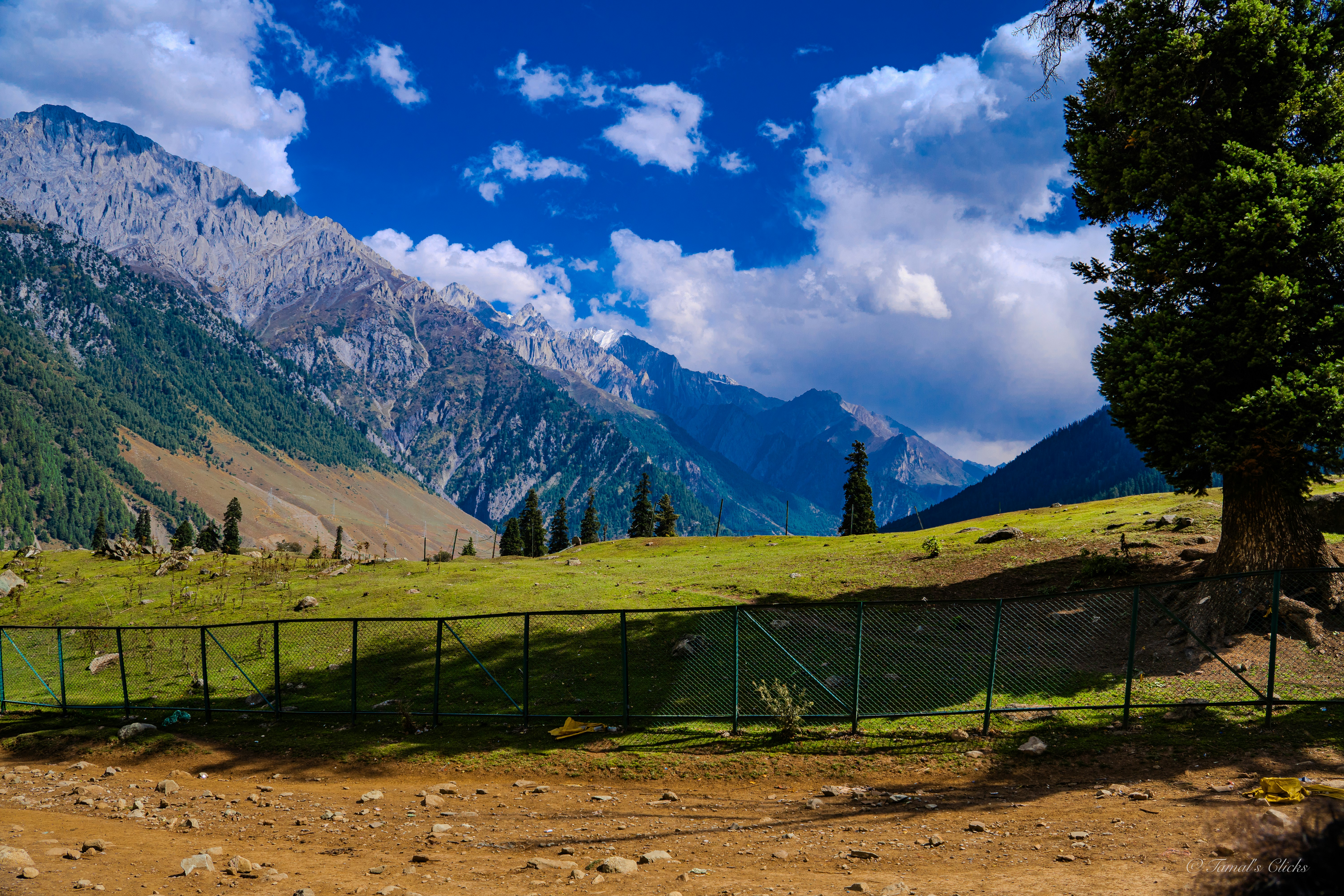 Photo by tamalunplash100